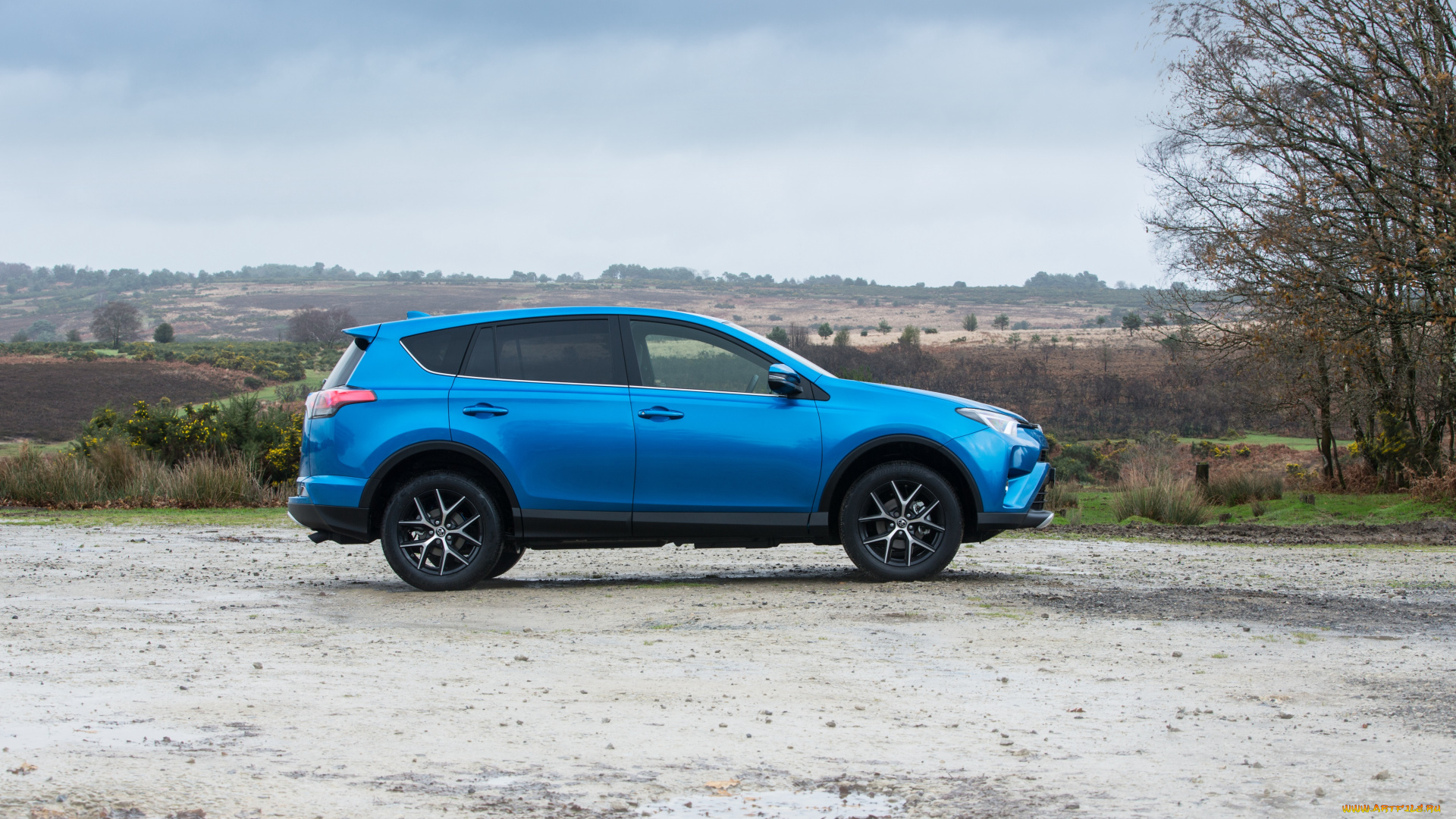 автомобили, toyota, 2015г, uk-spec, rav4