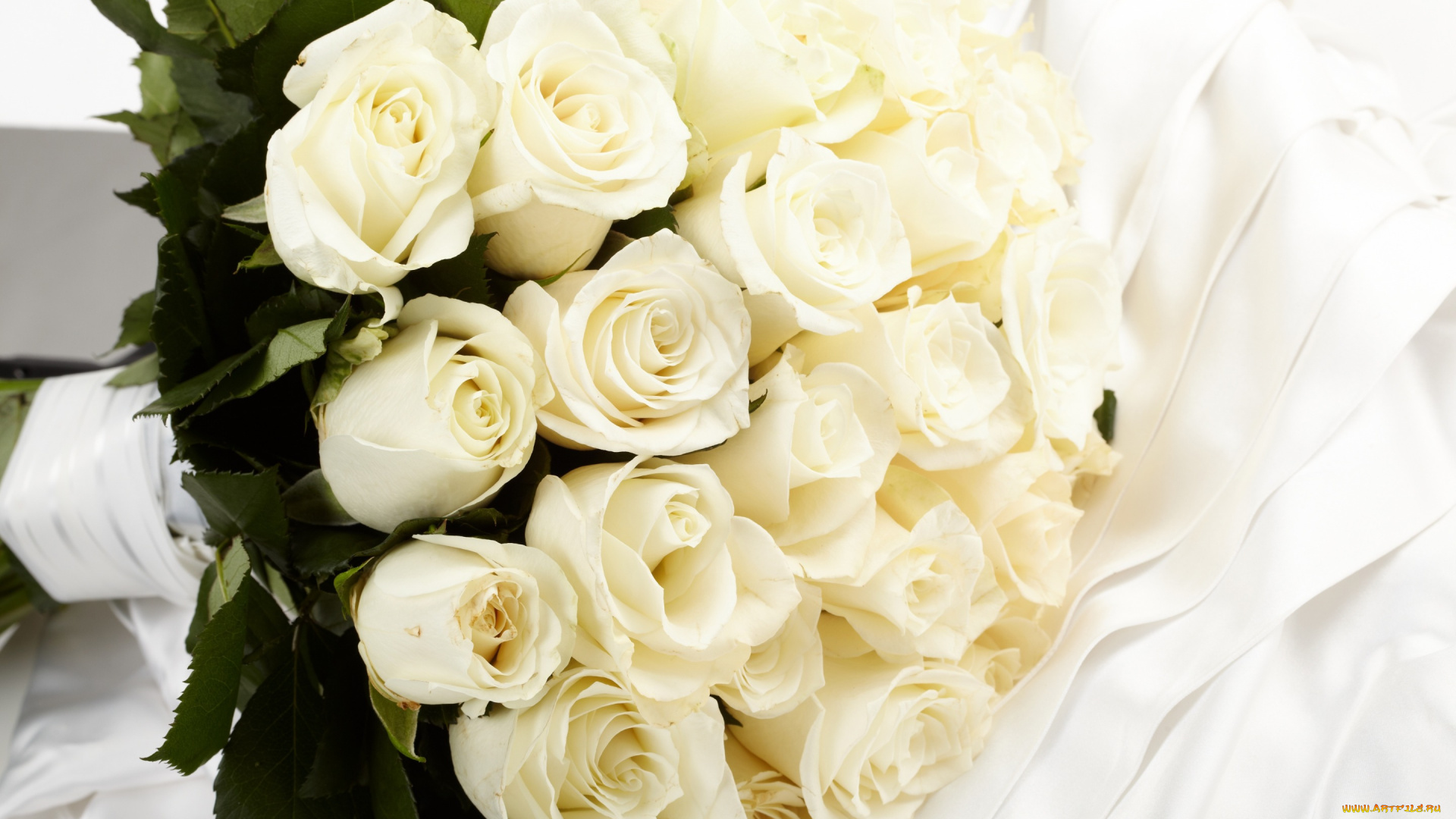 цветы, розы, flowers, белые, roses, букет, white