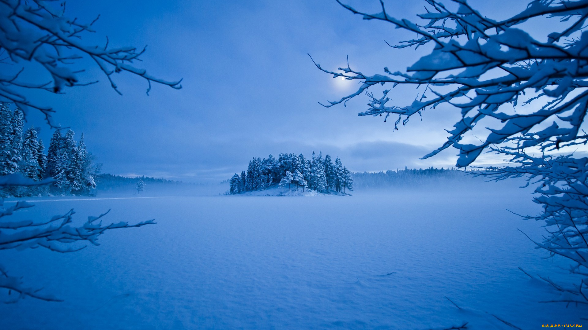 природа, зима, деревья, мороз, снег, вечер, луна