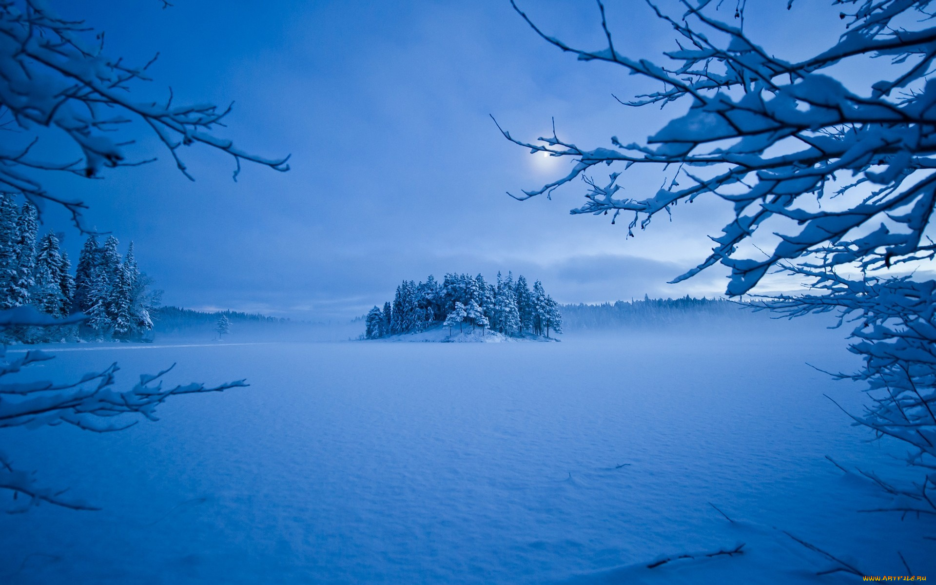 природа, зима, деревья, мороз, снег, вечер, луна