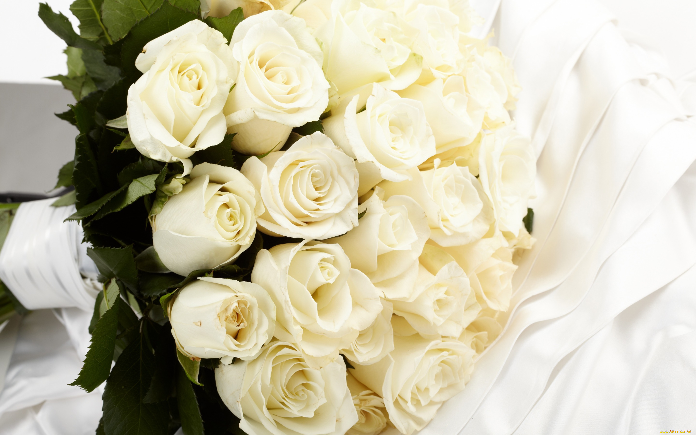 цветы, розы, flowers, белые, roses, букет, white