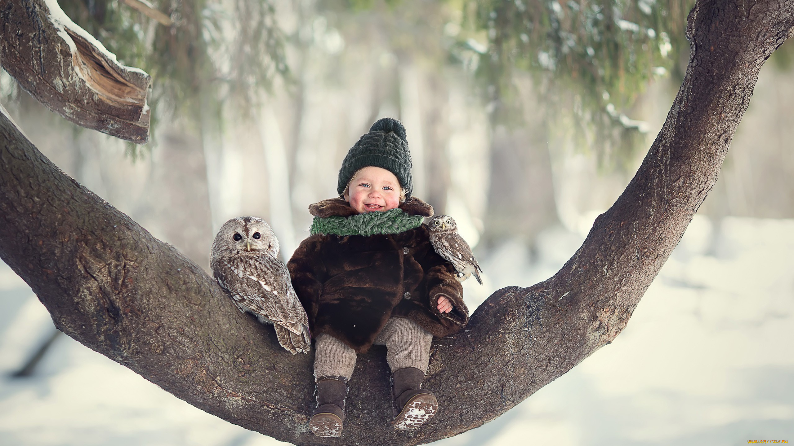 разное, настроения, ребенок, зима, дерево, радость, настроение, мальчик, сова, ствол, дерева, коричневый, детская, шуба