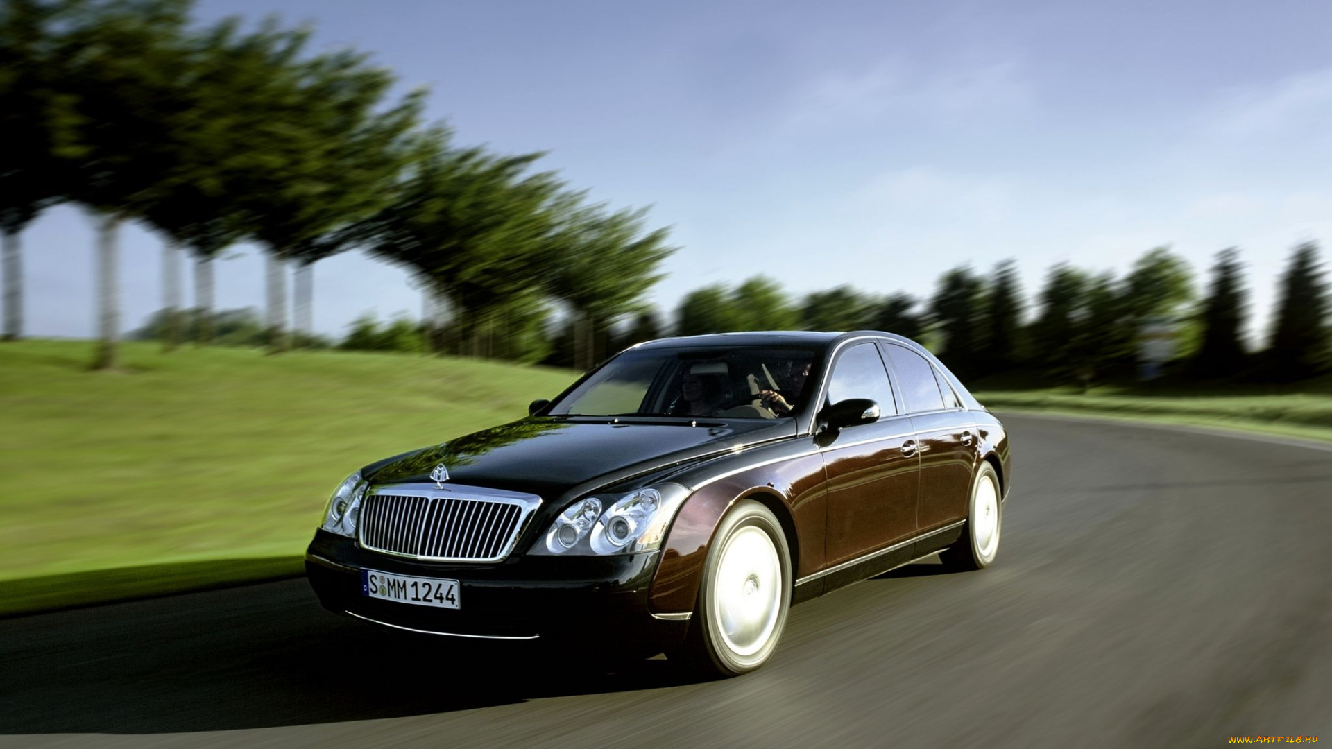 автомобили, maybach