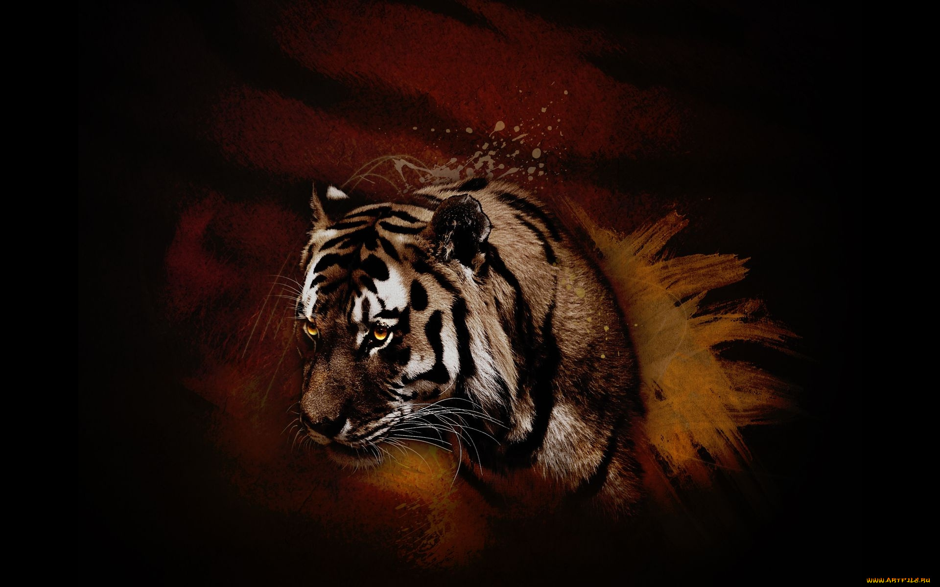 рисованные, животные, тигры, тигр, зверь, хищник