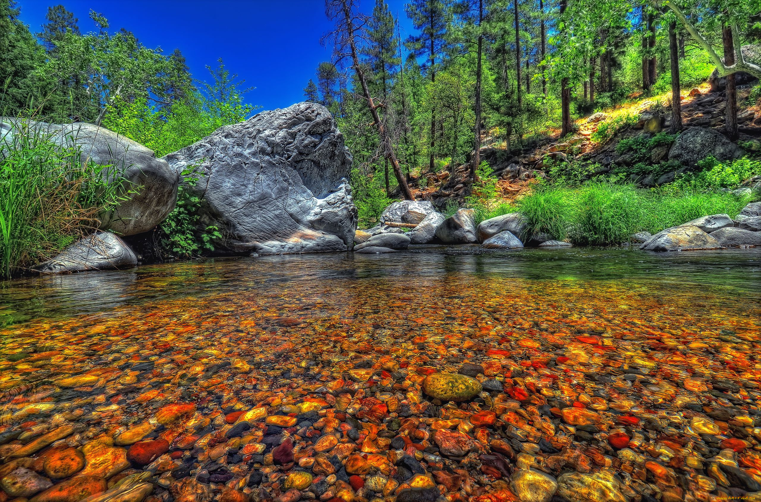 природа, реки, озера, дно, лес, камни, деревья, пейзаж, озеро