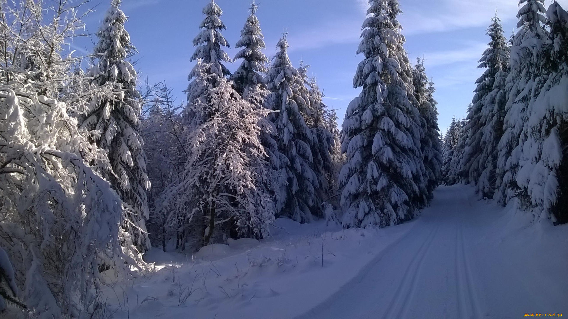 природа, лес, дорога, зима, пейзаж, деревья