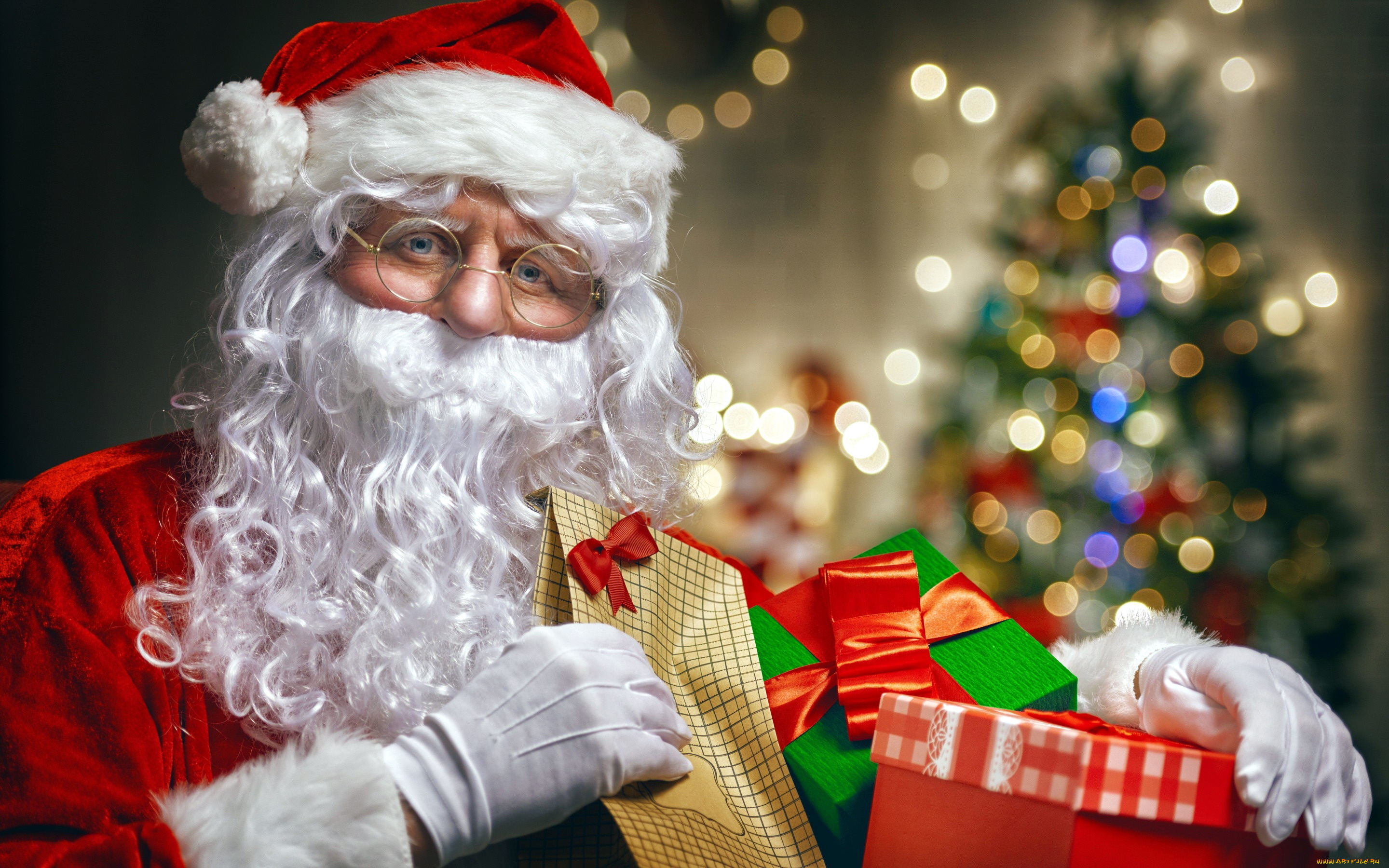 Санта войти. Portrait Santa Claus with Christmas Tree.