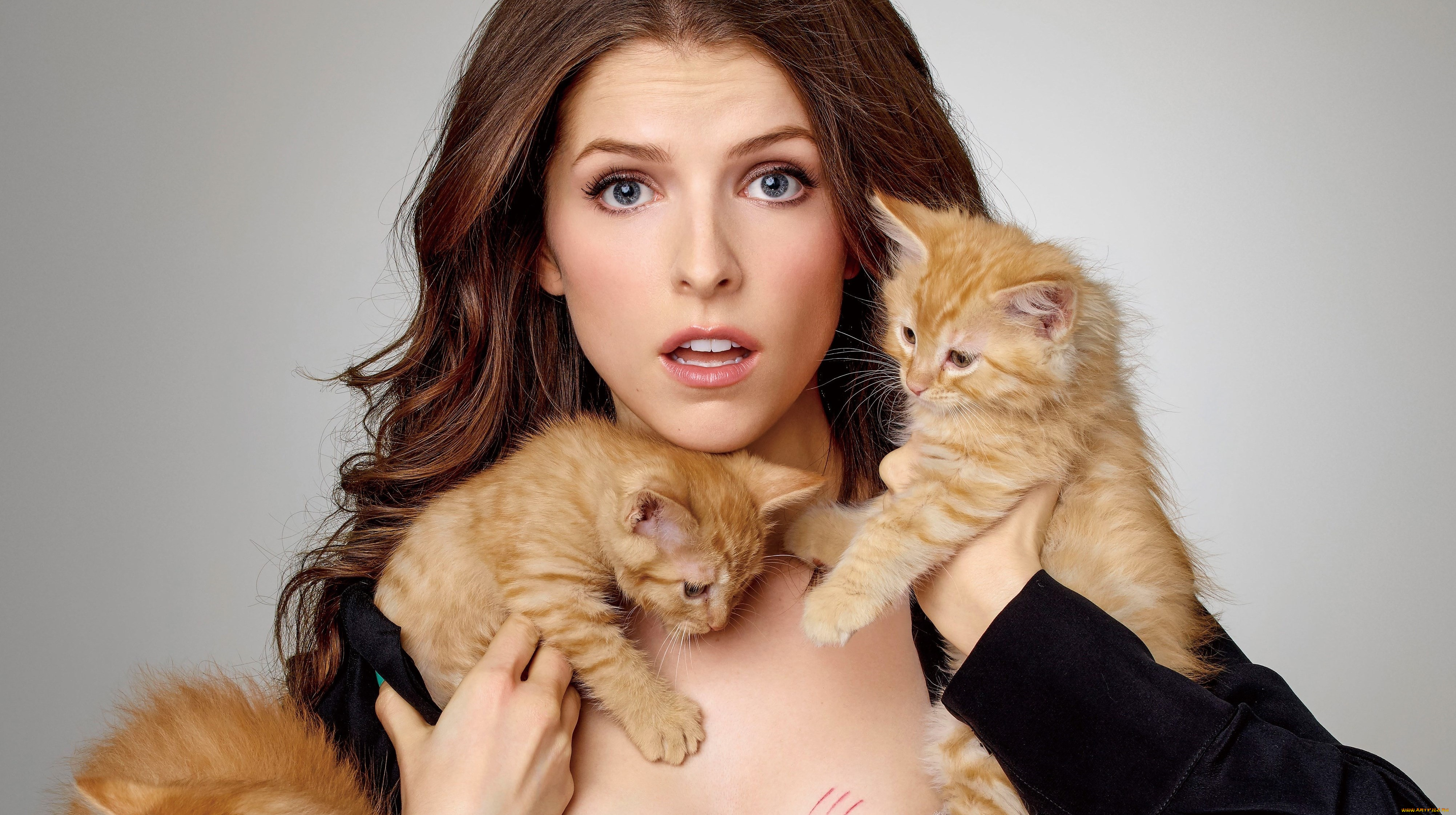 девушки, anna, kendrick, anna, kendrick