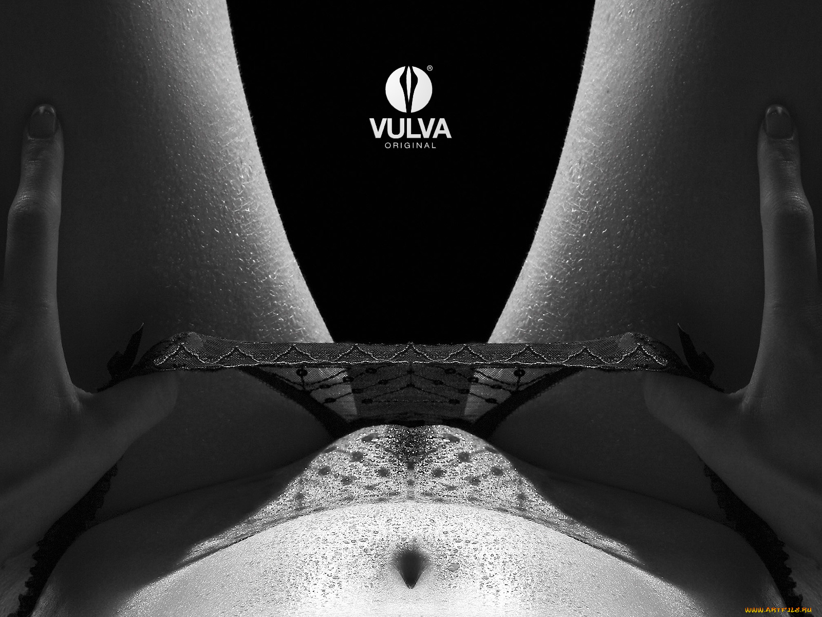 vulva, original, бренды