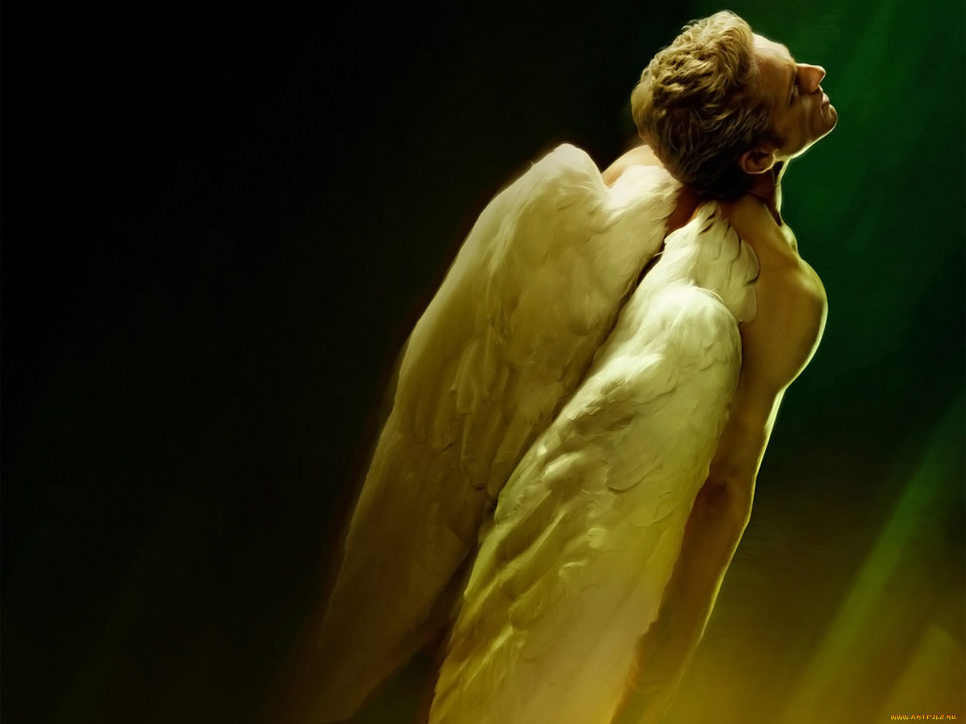 Ангел мужчина спиной. Ангел мужчина. Ангел со спины. Фото ангела. Фото ангела с крыльями.