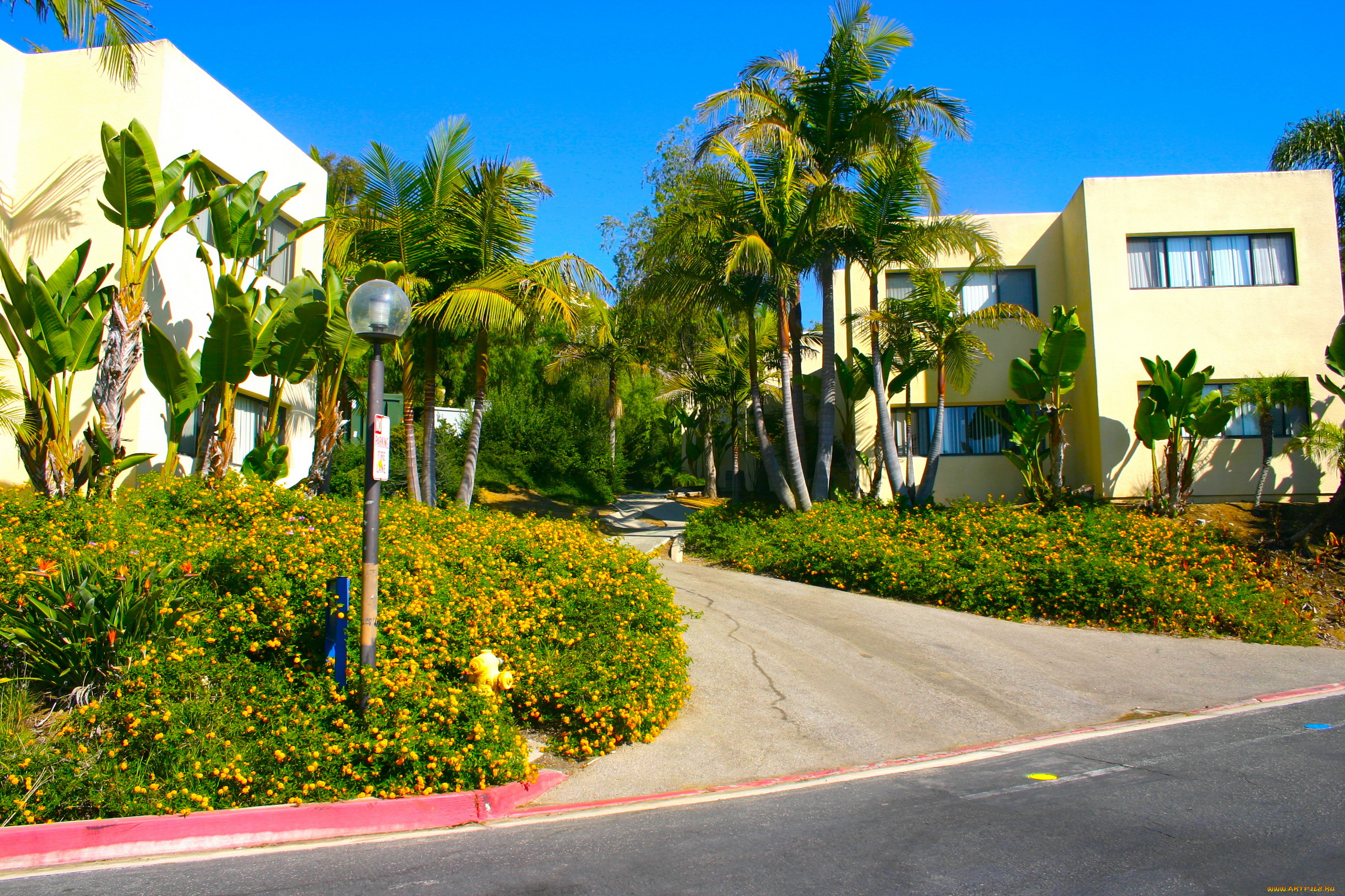 malibu, california, города, улицы, площади, набережные, дома, улица