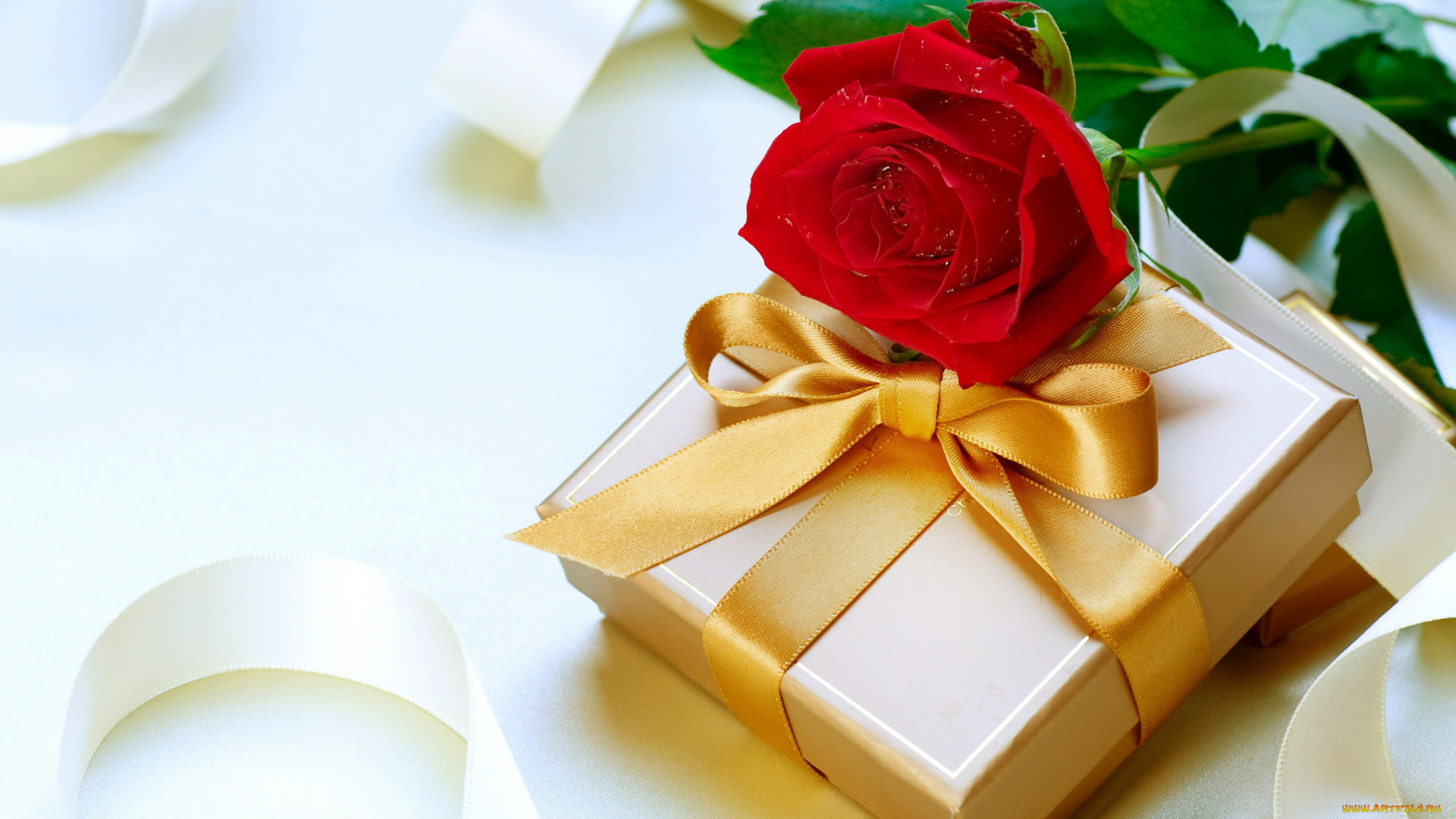 праздничные, подарки, и, коробочки, роза, алый, подарок, лента, бант