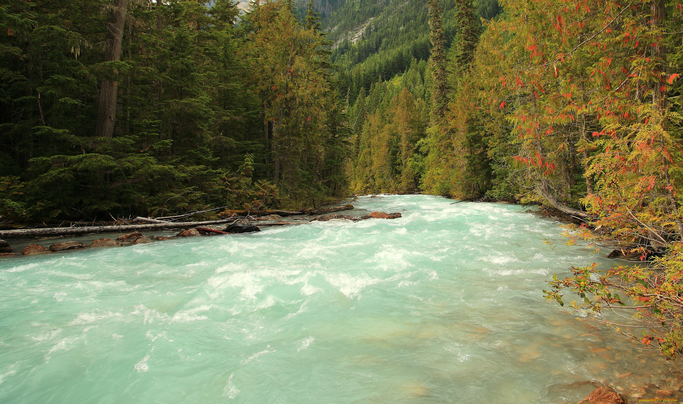 mount, robson, national, park, природа, реки, озера, park, лес, река, mount, robson, парк