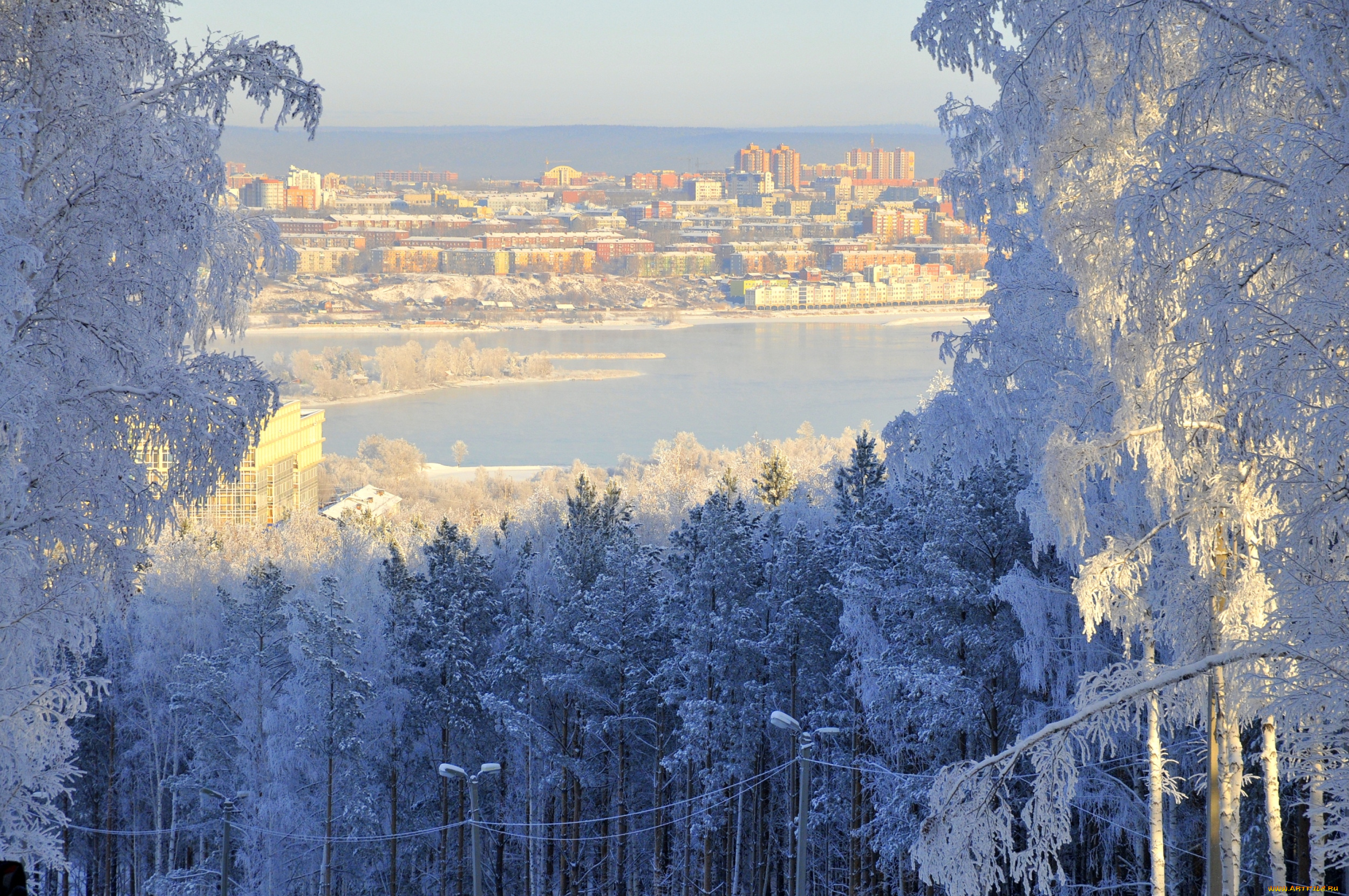 иркутск, , россия, города, -, панорамы, деревья, зима