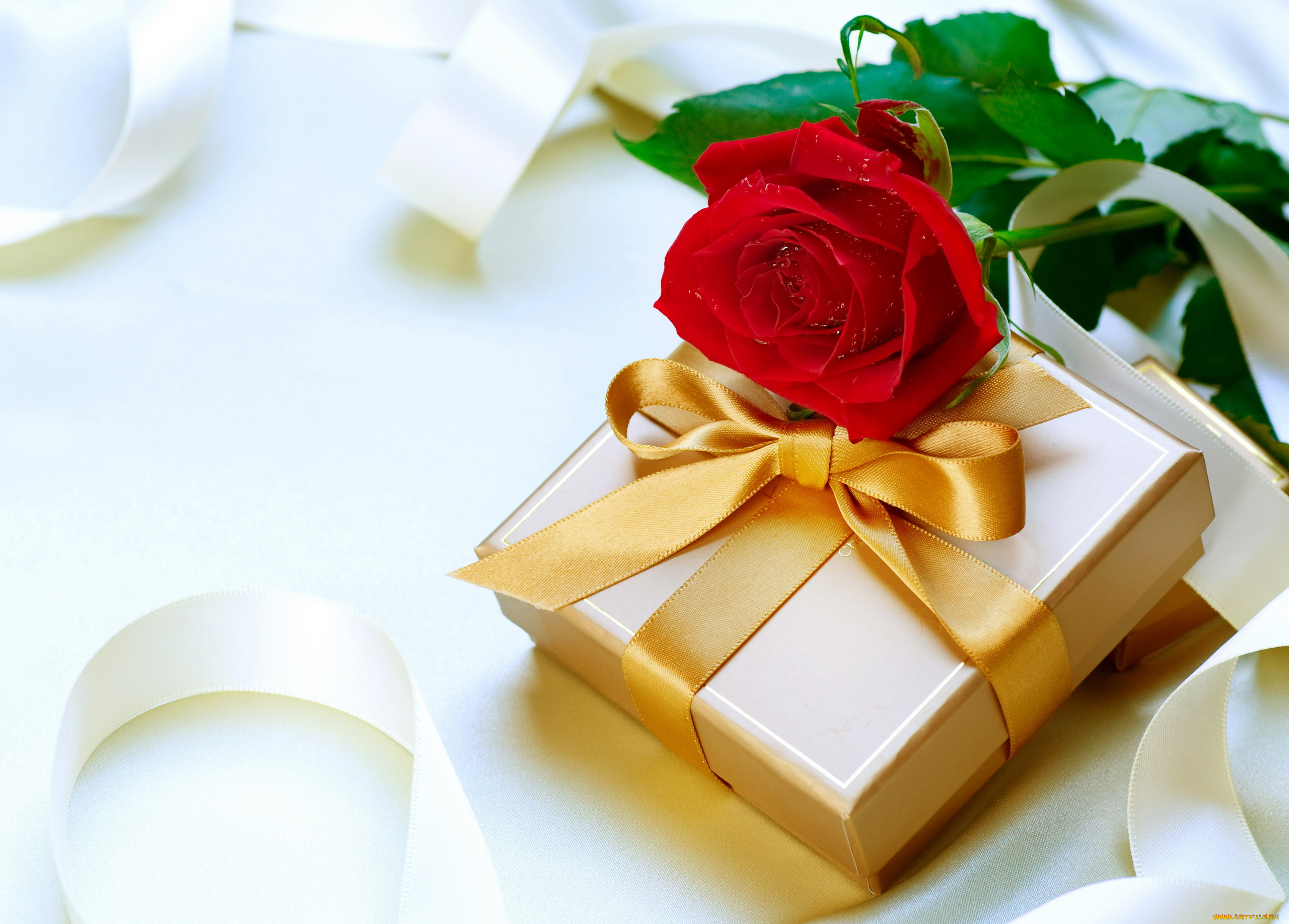 праздничные, подарки, и, коробочки, роза, алый, подарок, лента, бант