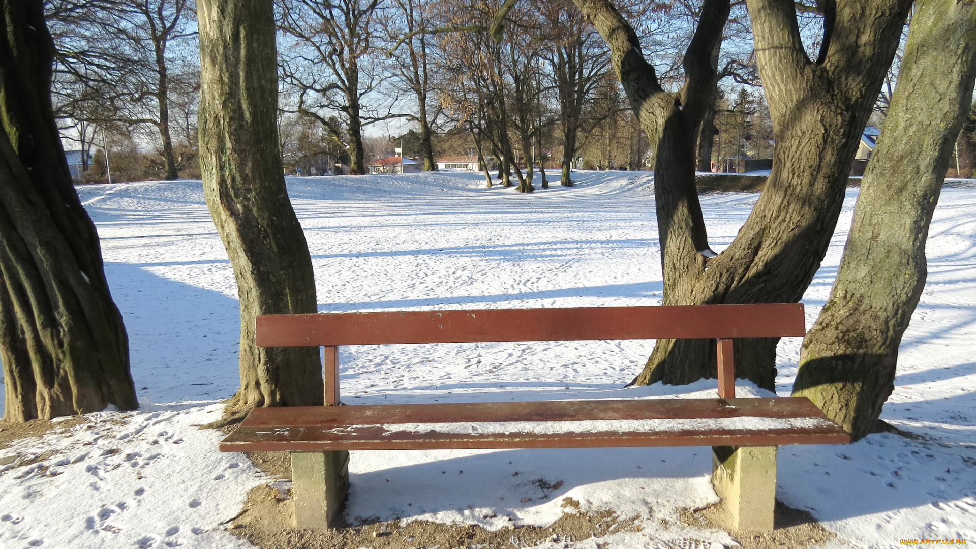 природа, парк, снег, деревья, скамейка
