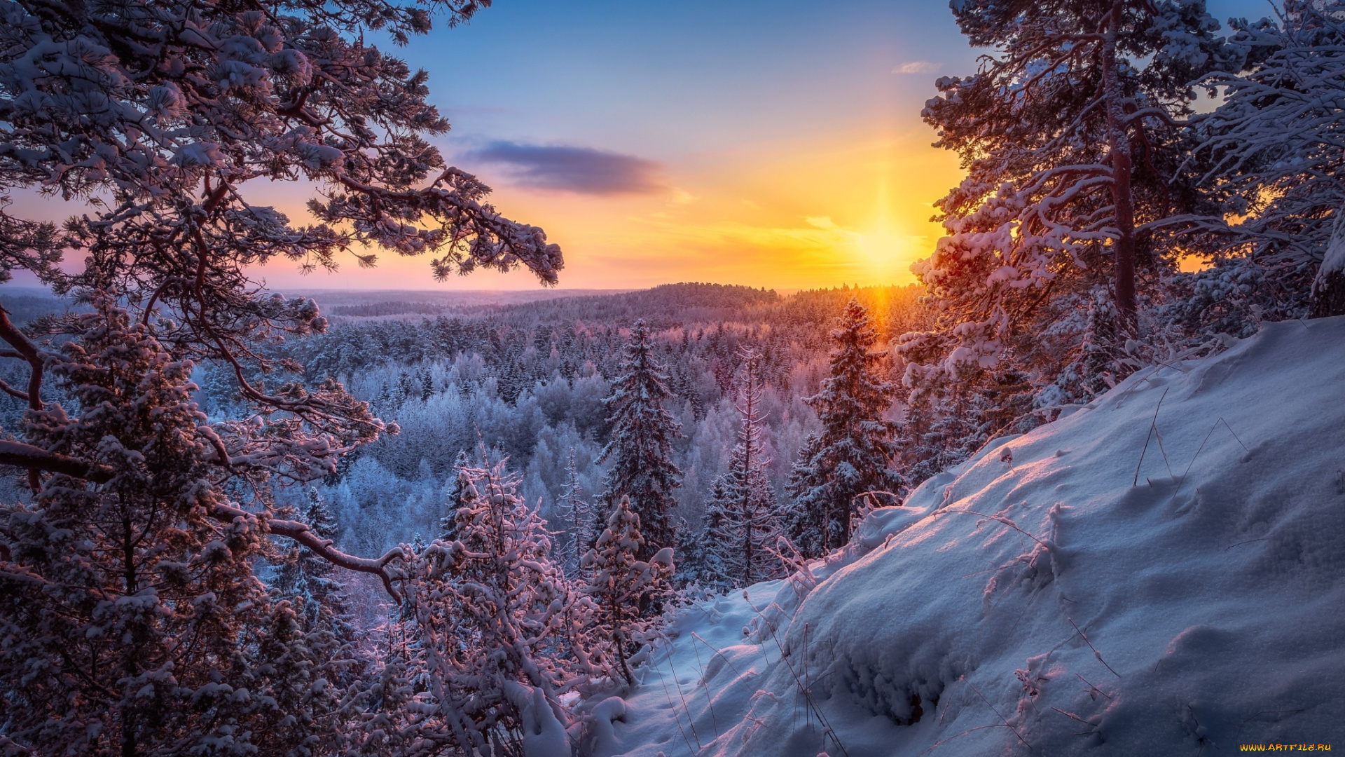 природа, пейзажи, зима, лес, снег, солнце