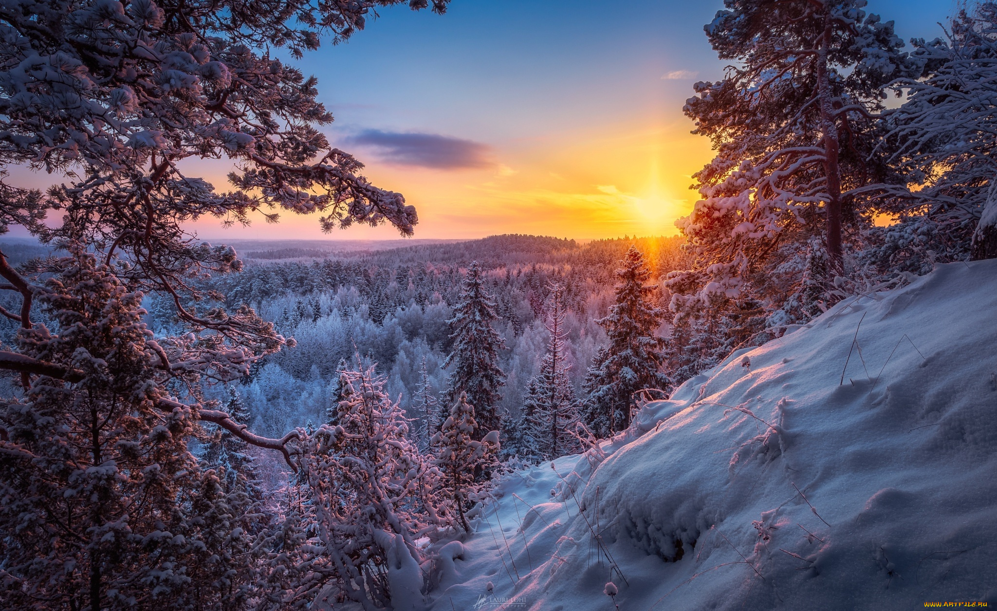 природа, пейзажи, зима, лес, снег, солнце