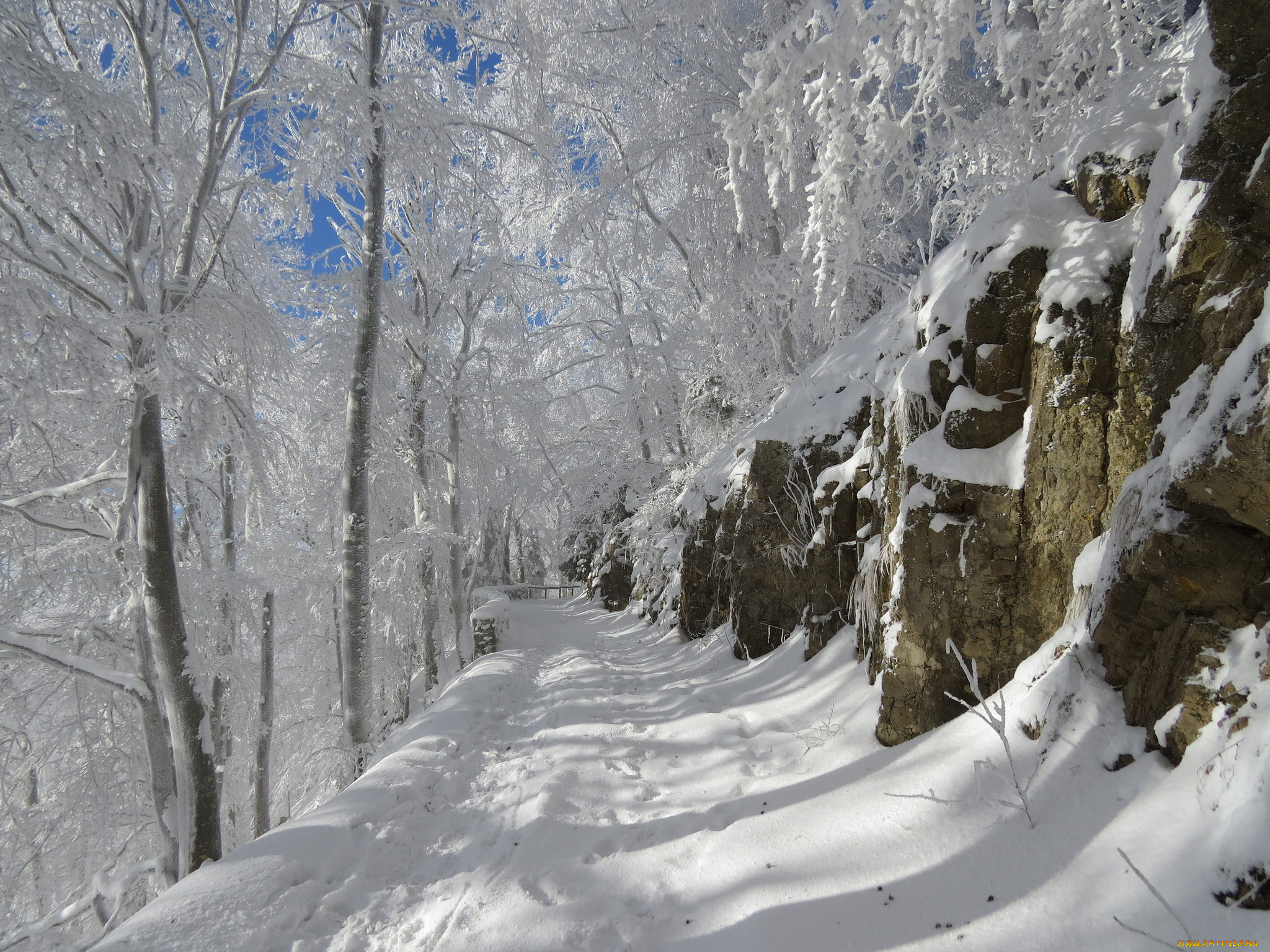 природа, дороги, снег, деревья, дорога