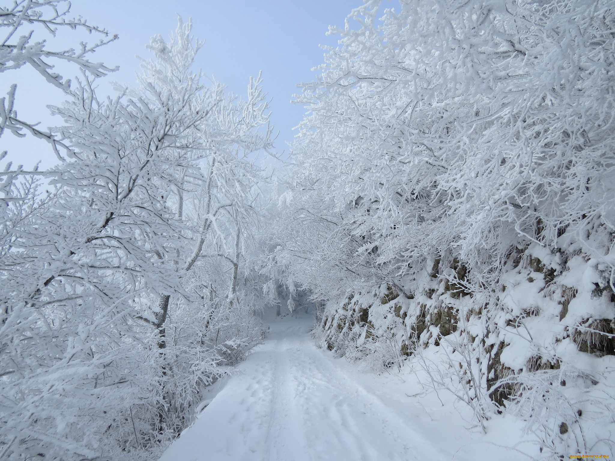 дорога снег деревья road snow trees бесплатно