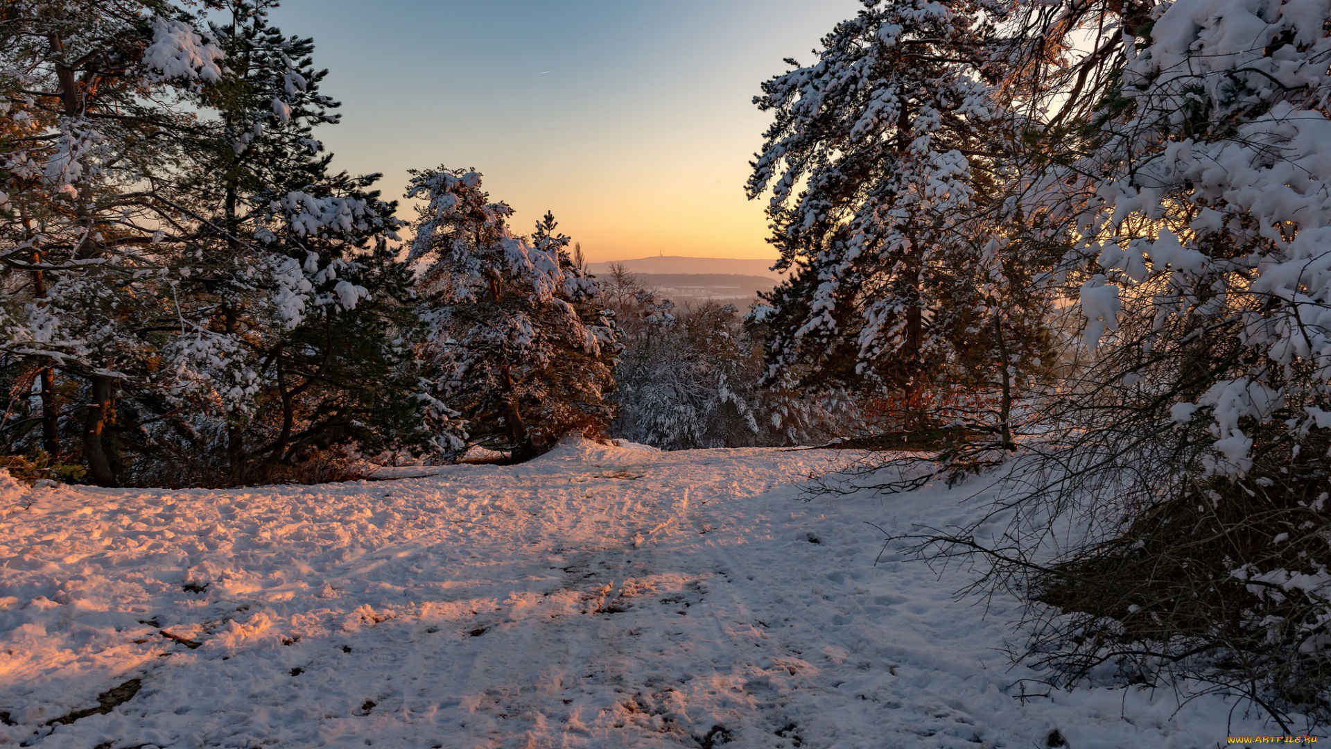 природа, пейзажи, зима, утро, деревья, снег