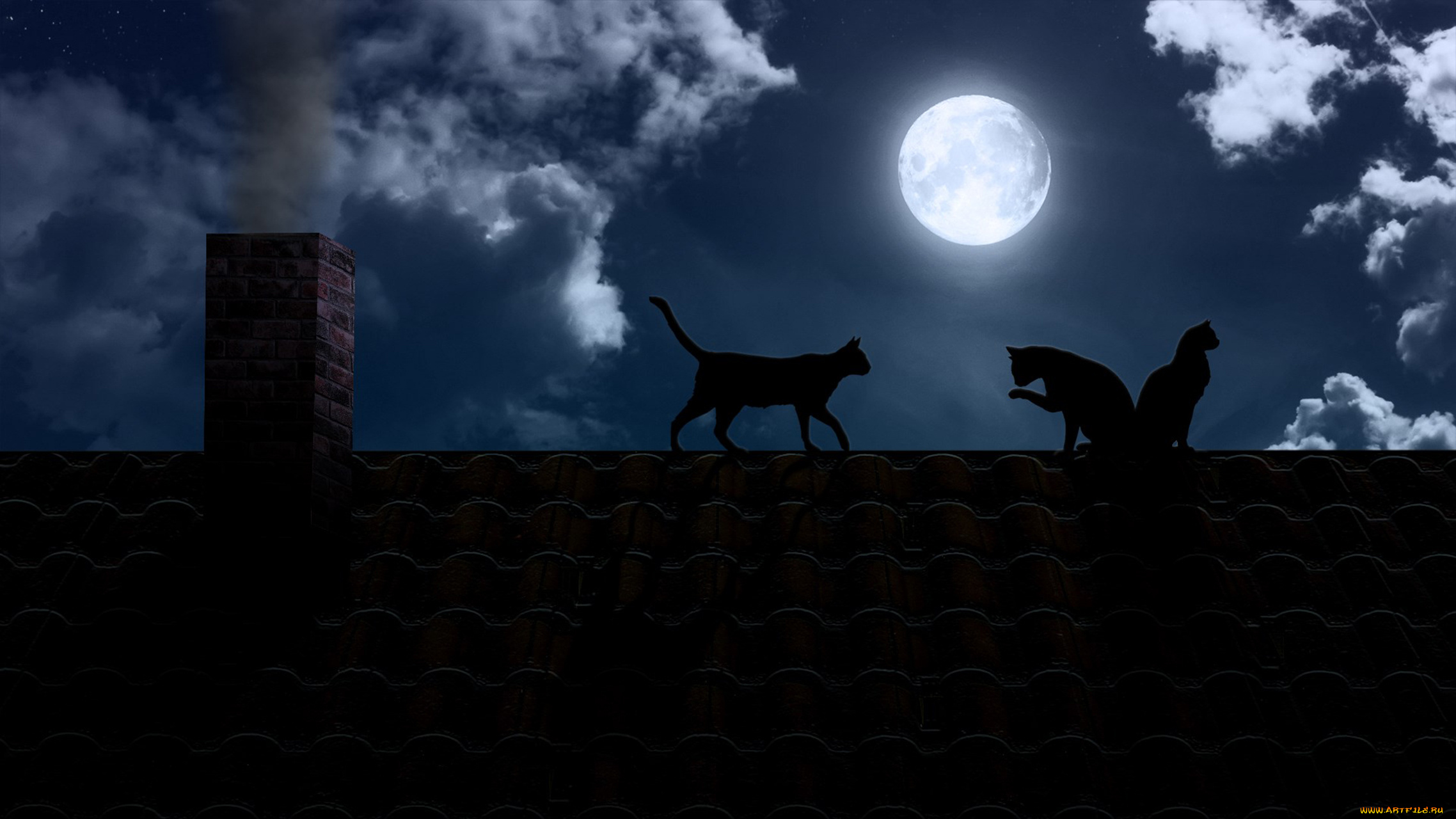 Луна над крышей дома. Кот на крыше. Кот ночью. Кот на крыше ночью. Черная кошка на крыше.
