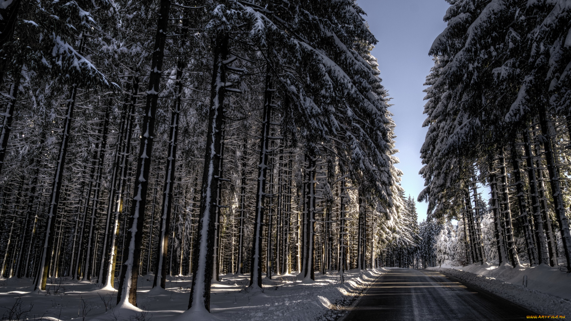 природа, дороги, снег, дорога, деревья