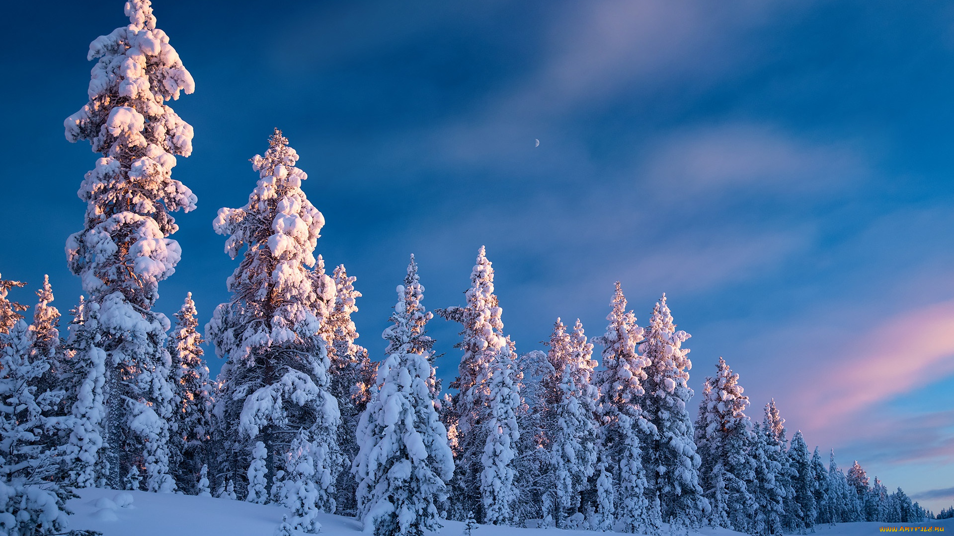 природа, зима, дорога, лес, небо, снег, деревья, ели, финляндия, finland, lapland, лапландия