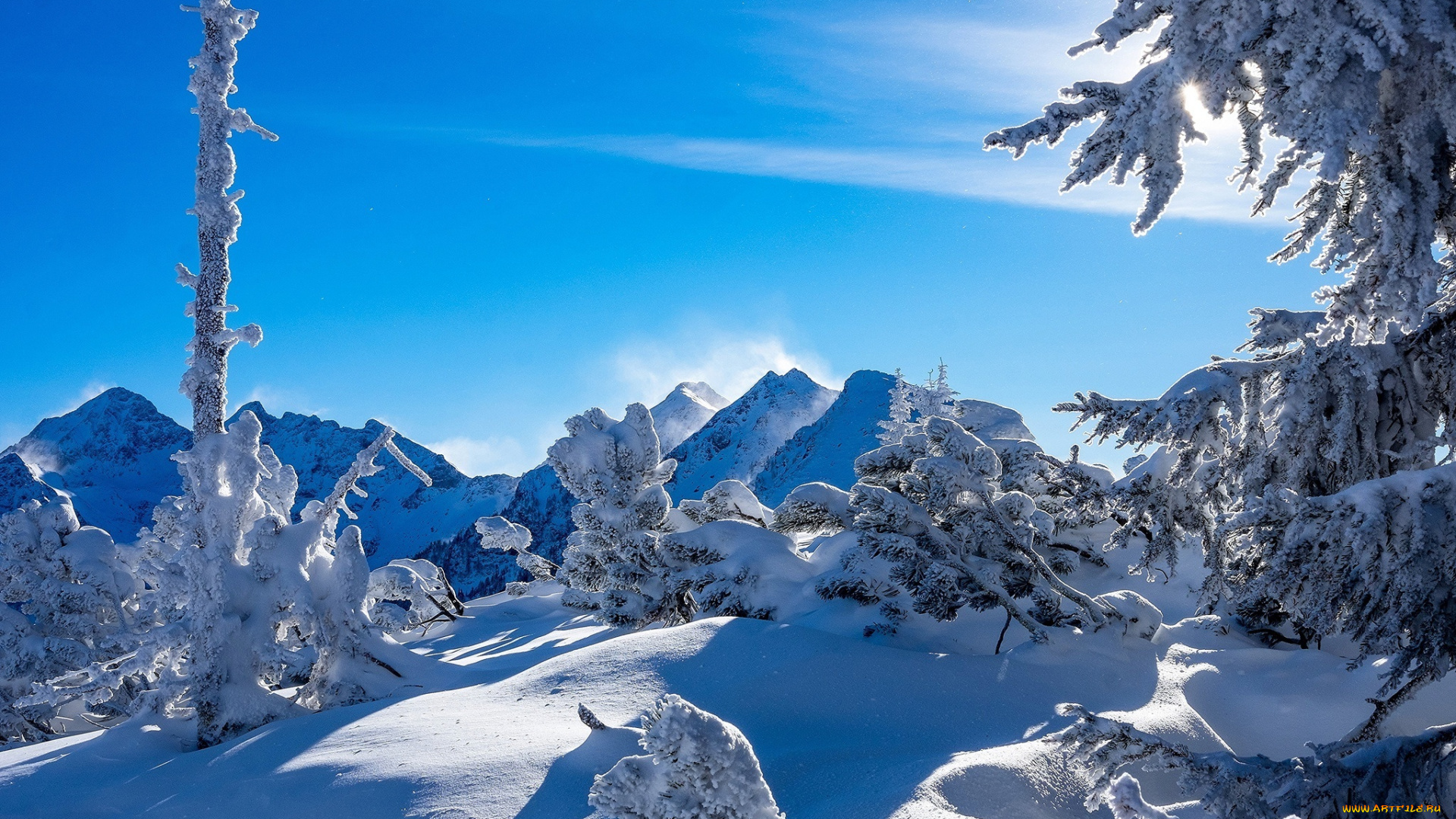природа, зима, ели, тени, штирия, сугробы, альпы, австрия, горы, деревья, пейзаж, снег