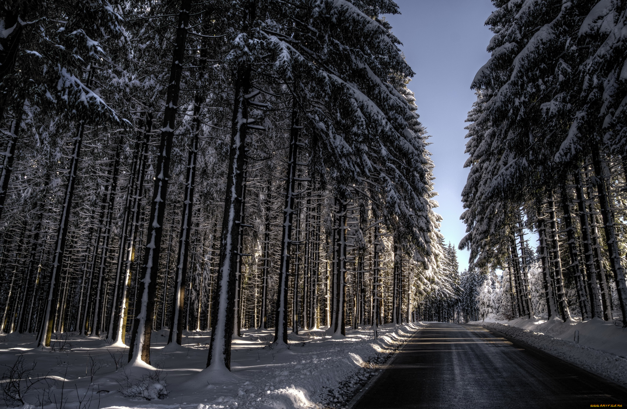 природа, дороги, снег, дорога, деревья