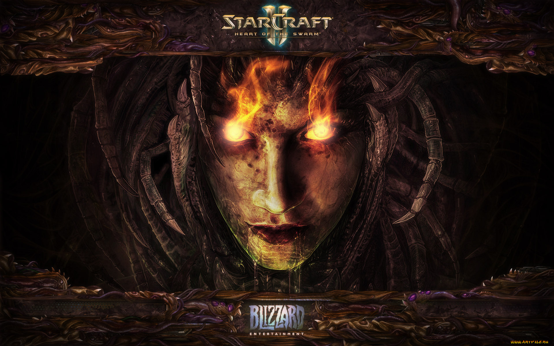 starcraft, ii, heart, of, the, swarm, видео, игры