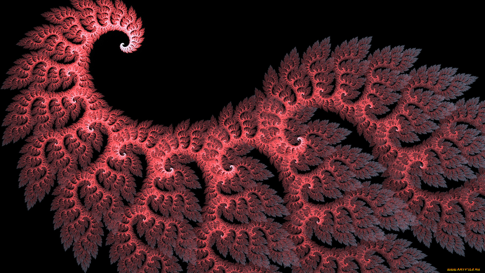 3д, графика, fractal, , фракталы, фон, узор, цвета