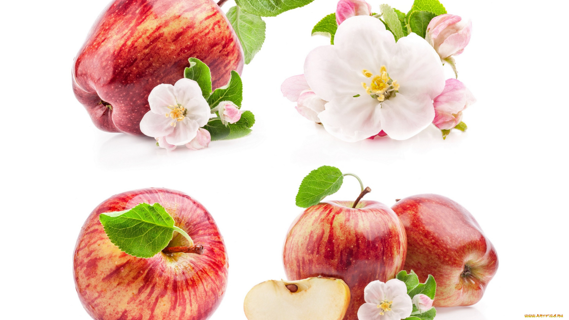 еда, Яблоки, листья, яблони, фон, цветы, дольки, яблоки