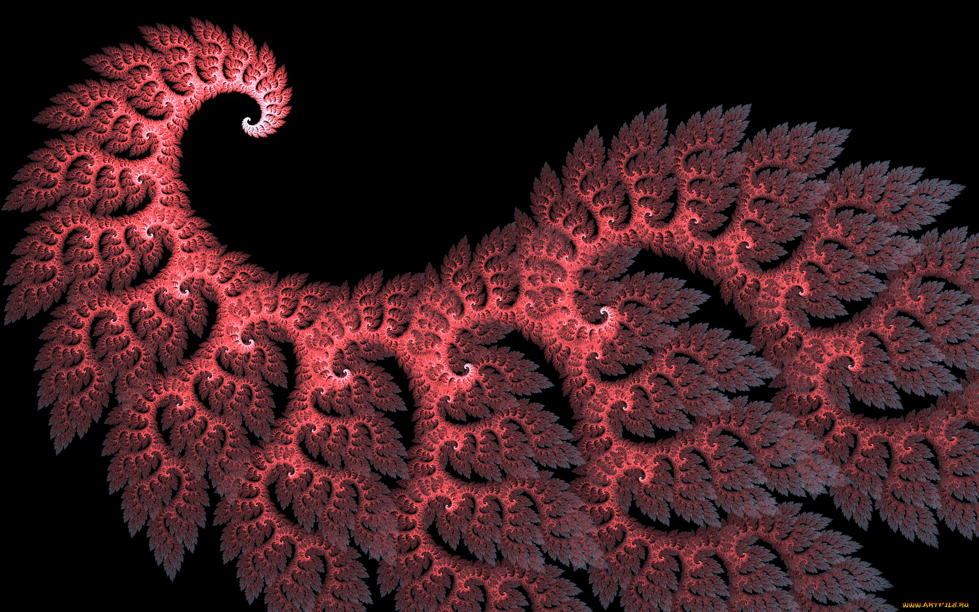 3д, графика, fractal, , фракталы, фон, узор, цвета