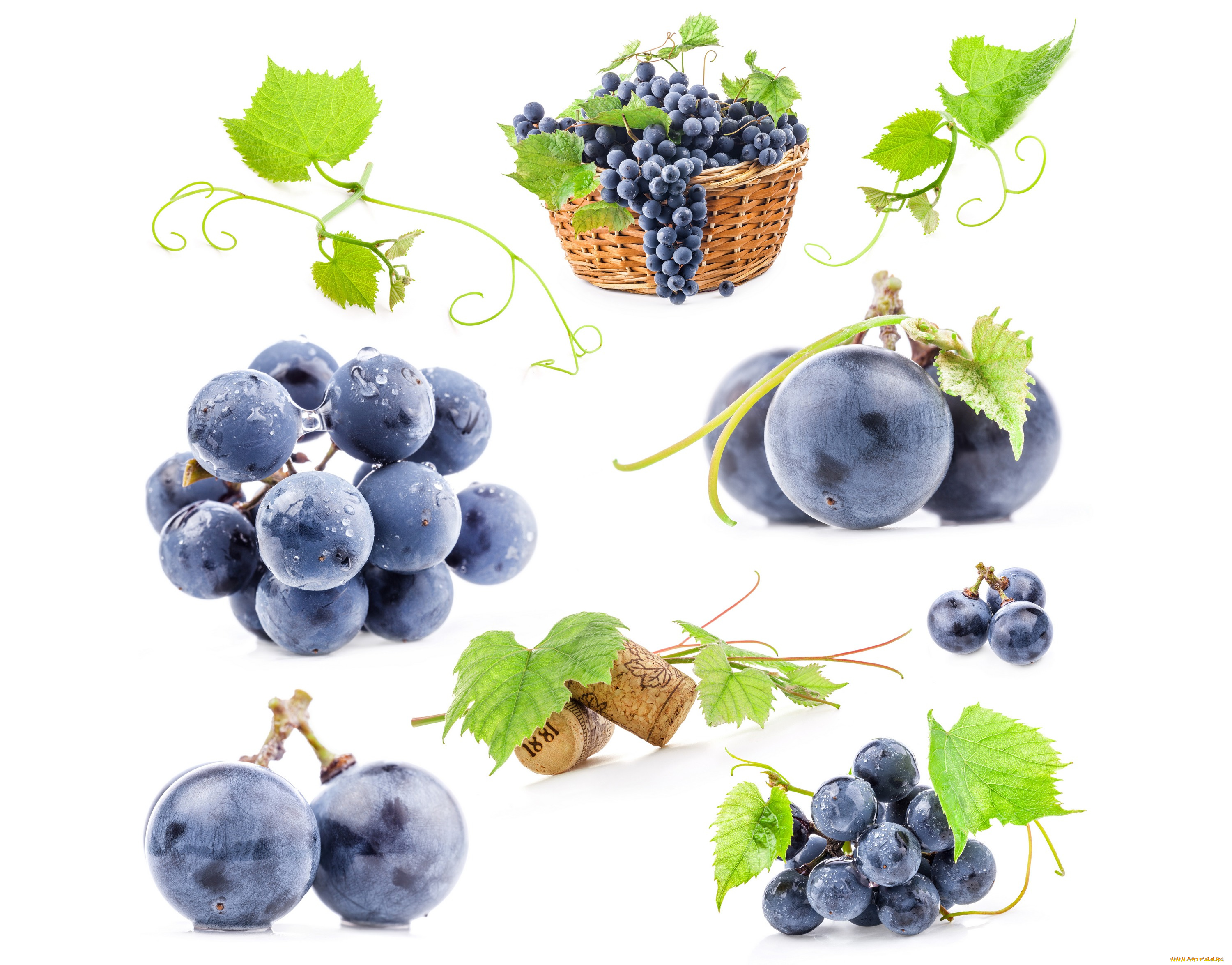 еда, виноград, гроздь, пробка, листья, фон