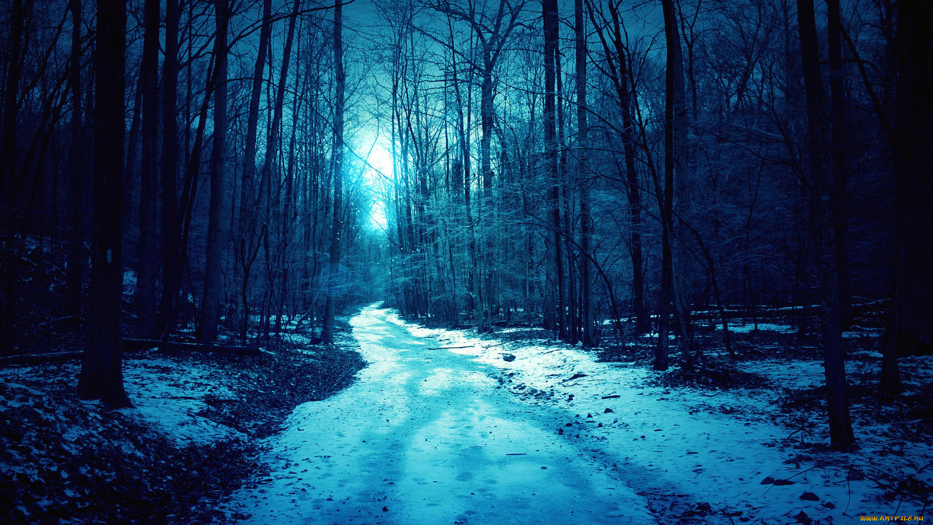 природа, дороги, лес, весна, ночь, туман, снег, дорога