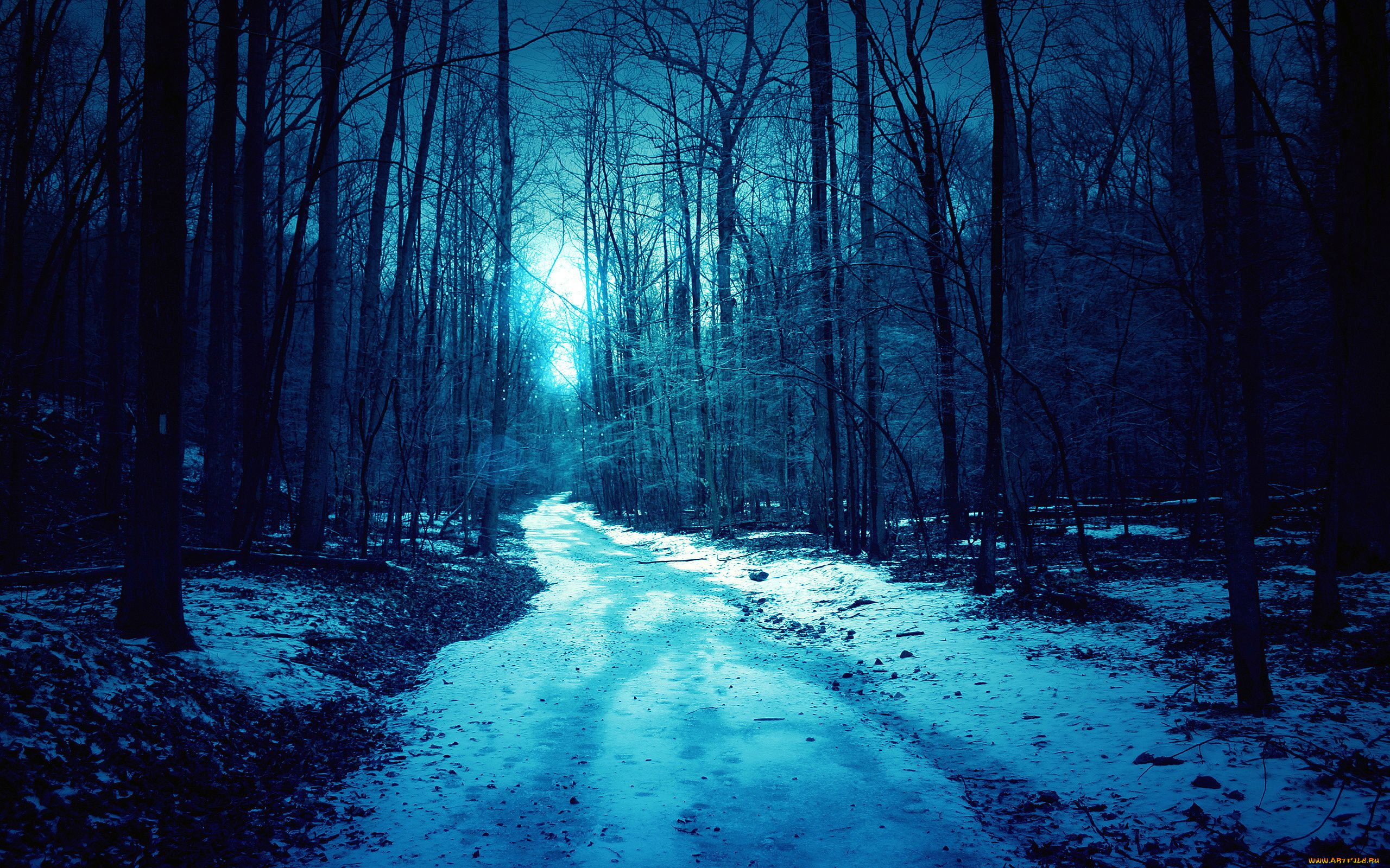 природа, дороги, лес, весна, ночь, туман, снег, дорога