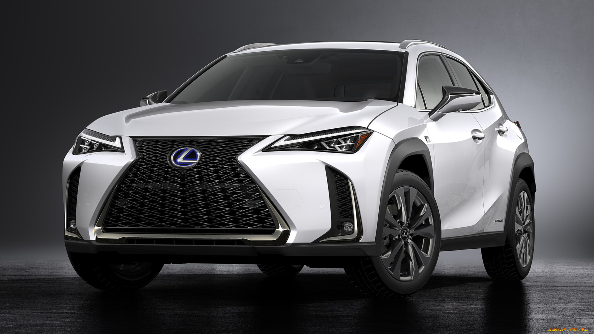 lexus, ux, f, sport, 2019, автомобили, lexus, белый, 2019, sport, f, ux