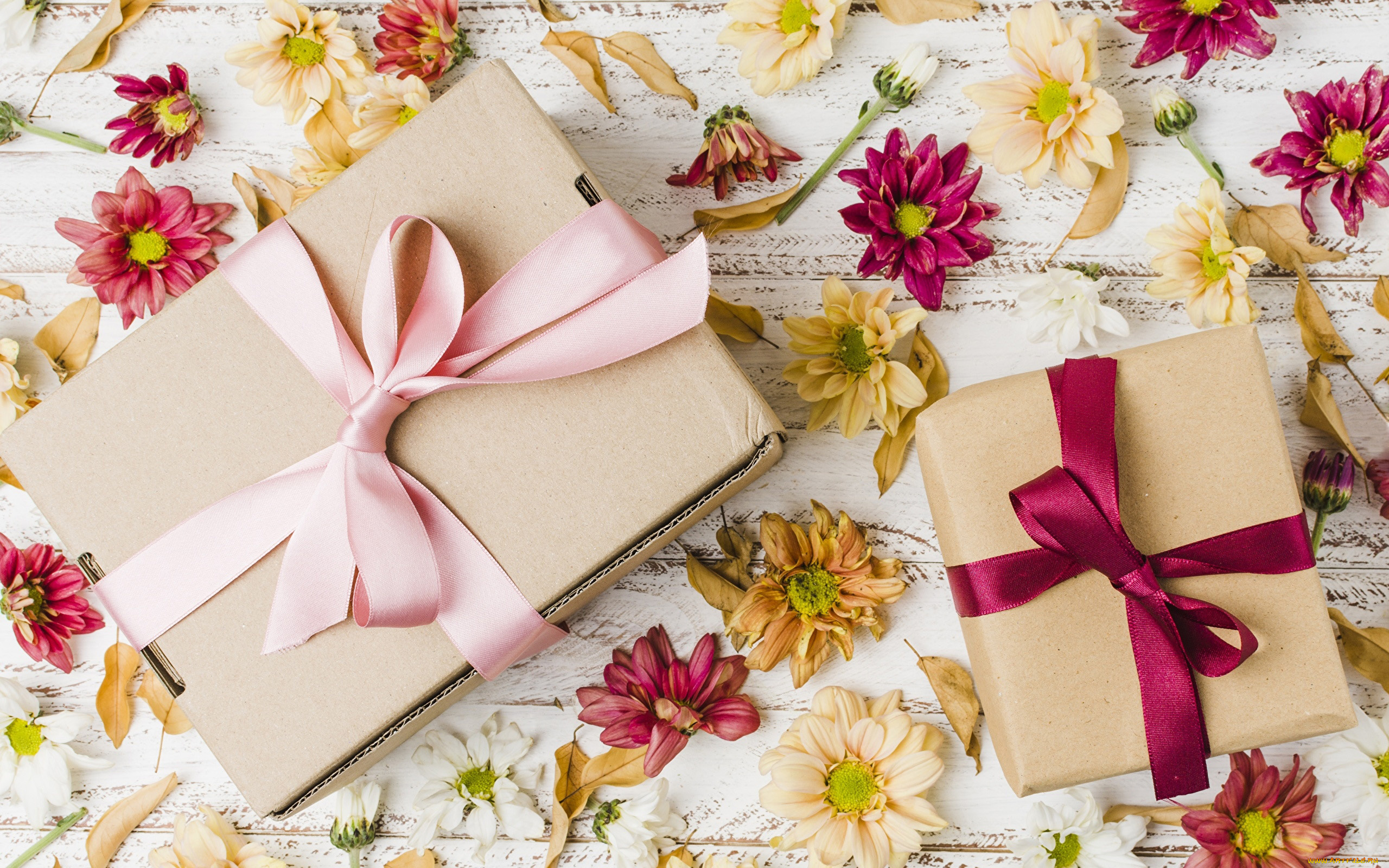 праздничные, подарки, и, коробочки, подарки, ленты, банты, хризантемы