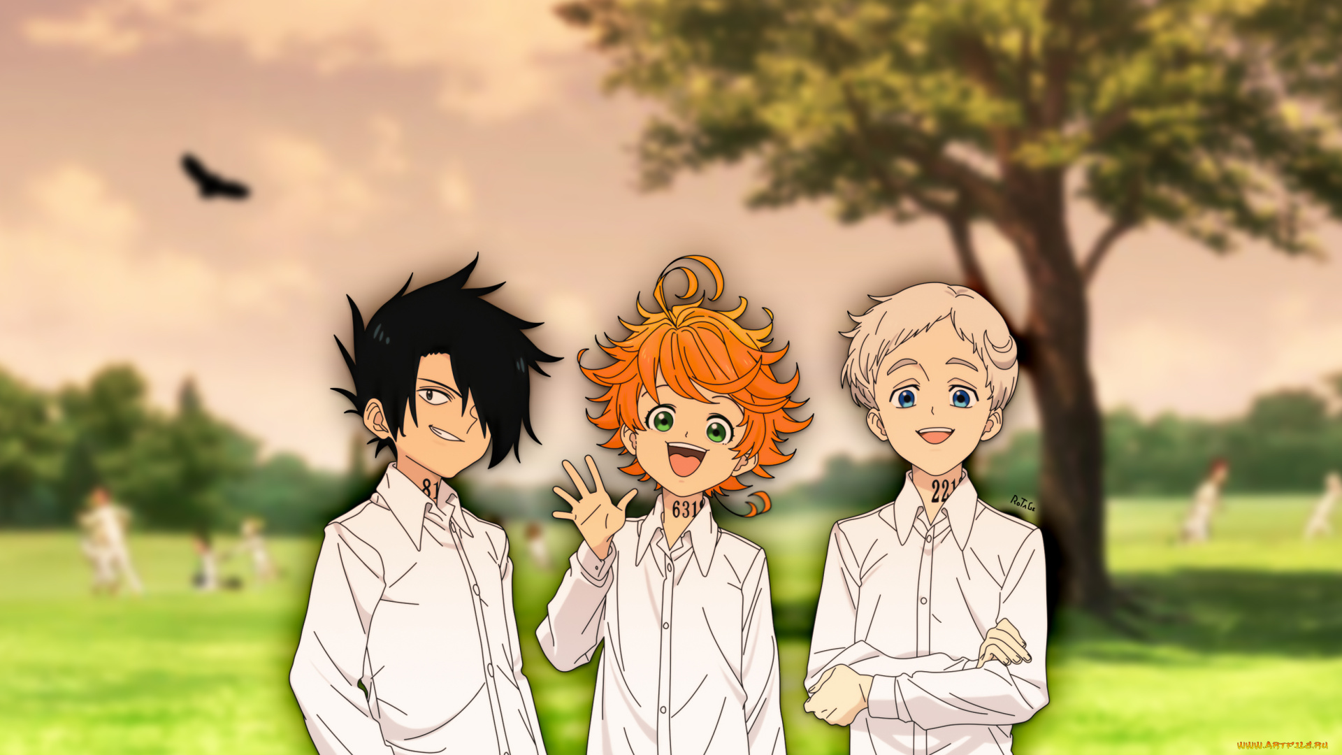 аниме, yakusoku, no, neverland, yakusoku, no, neverland, обещанный, неверленд