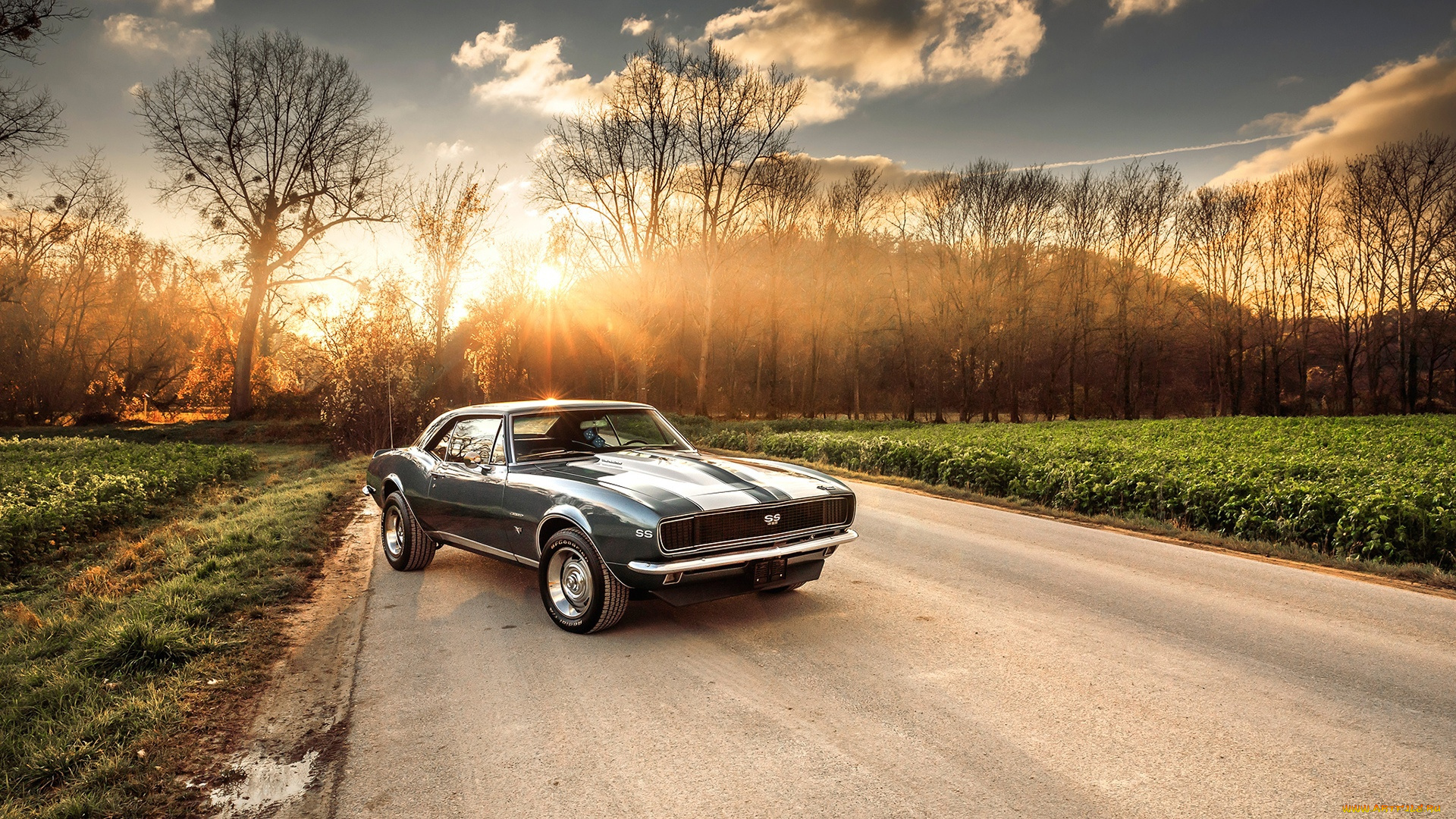 автомобили, camaro, 1967, chevrolet, ss