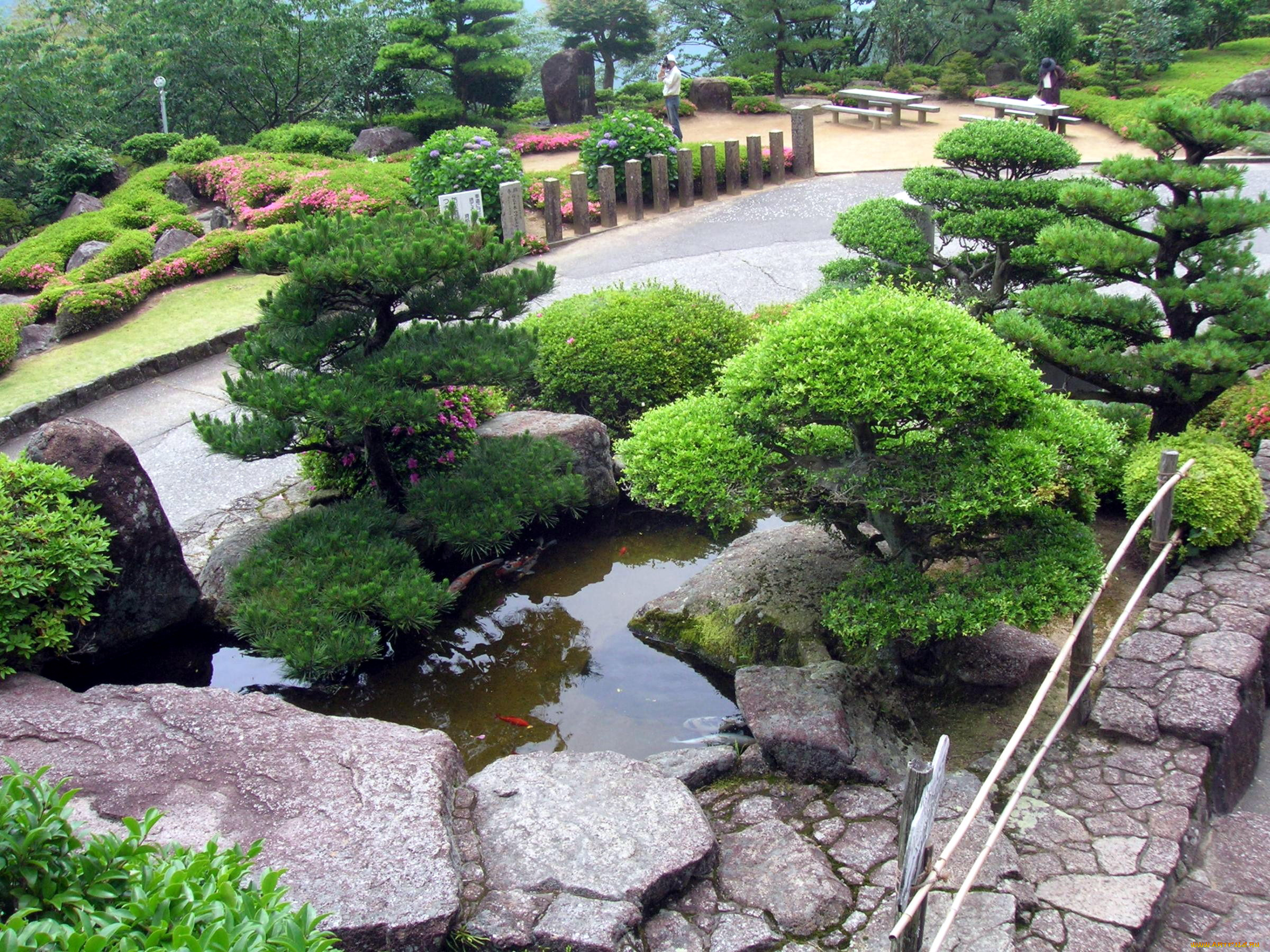 природа, парк, водоем, японский, садик