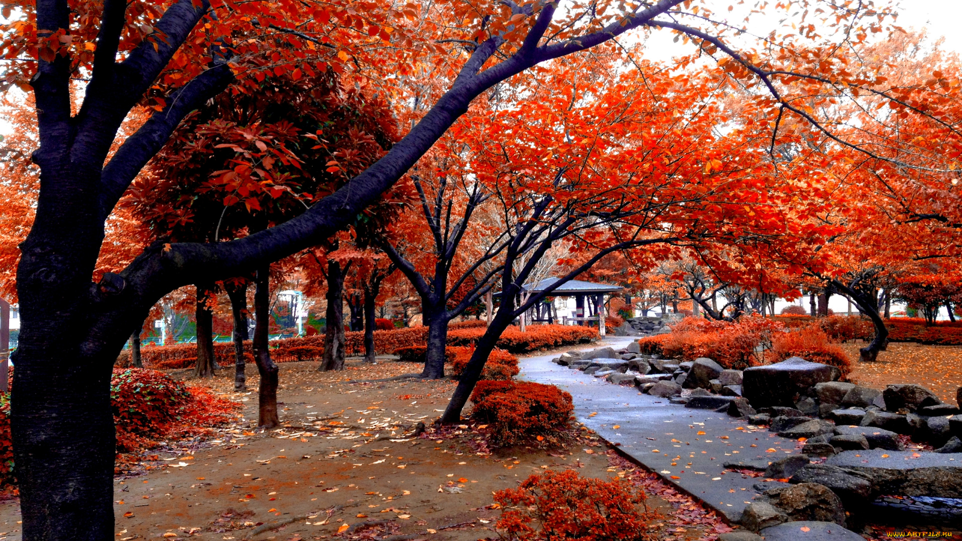 природа, парк, аллея, беседка, осень, красная, листва, деревья