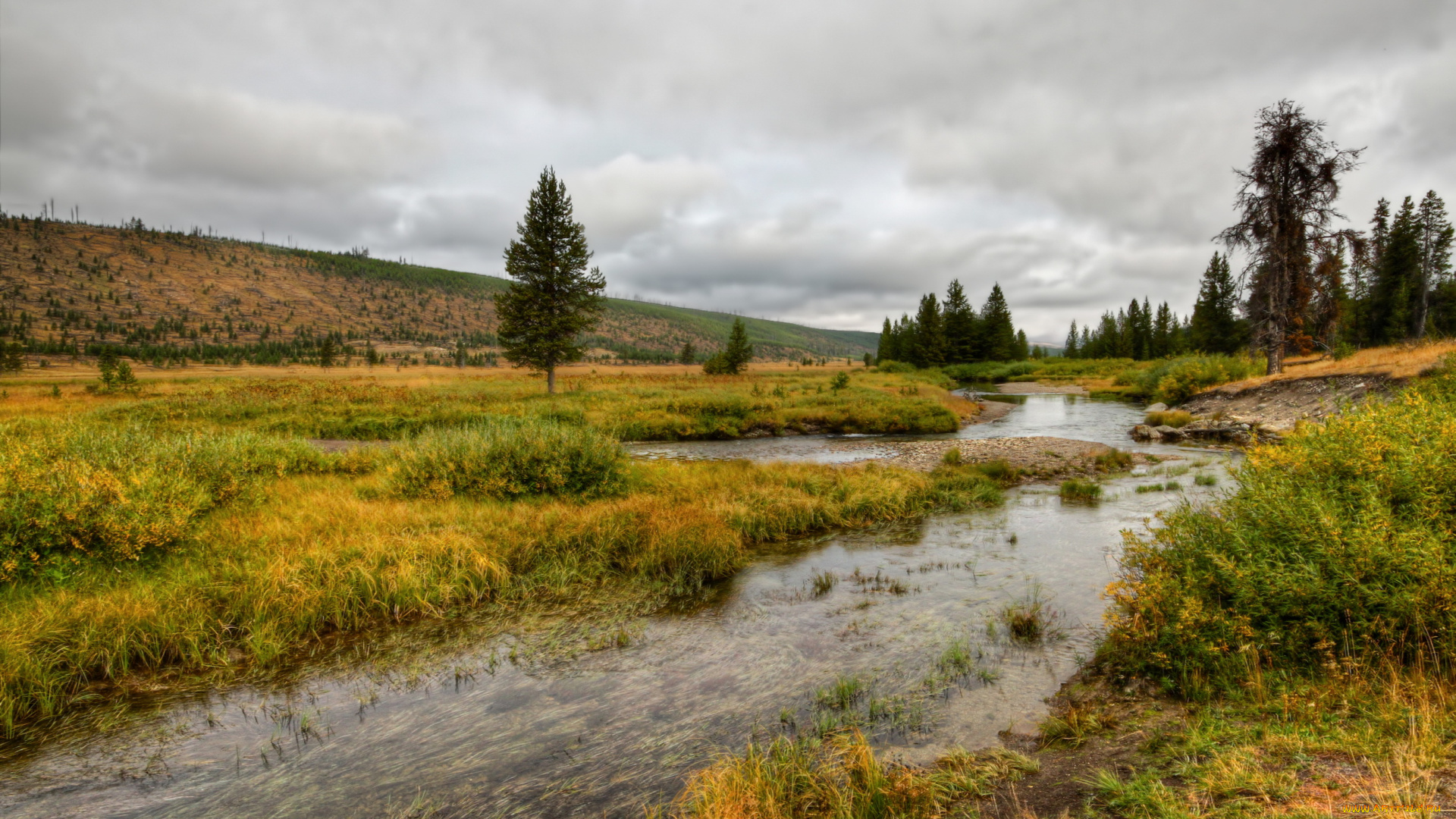 yellowstone, national, park, природа, реки, озера, пейзаж