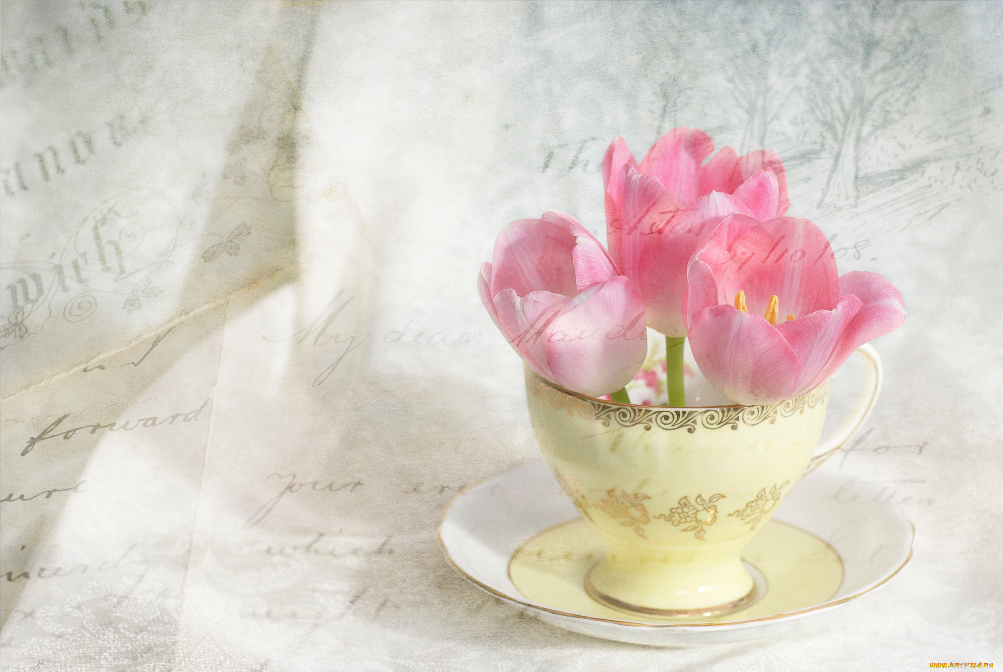 цветы, тюльпаны, чашка, бутоны, текстура