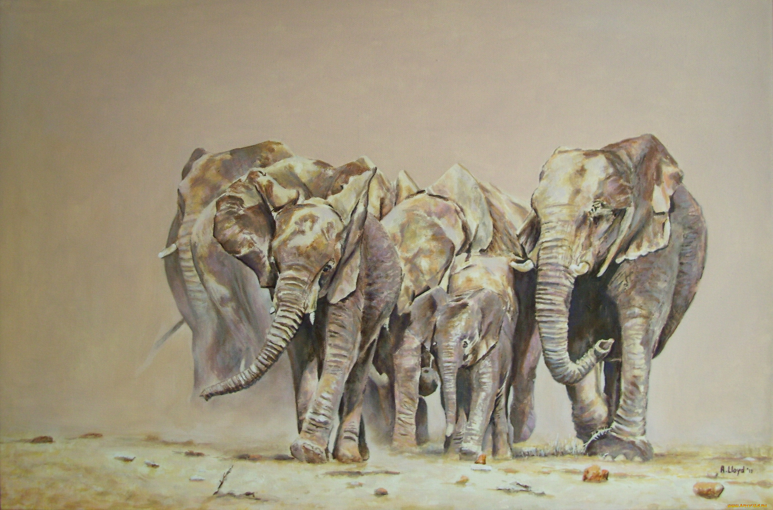 andy, lloyd, elephants, emerging, рисованные, слоны