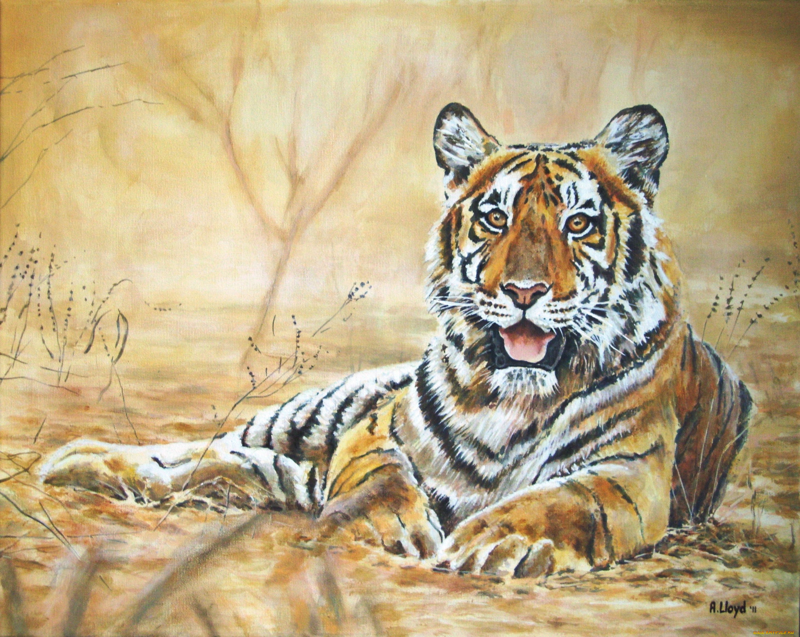 andy, lloyd, indian, tiger, рисованные, тигр