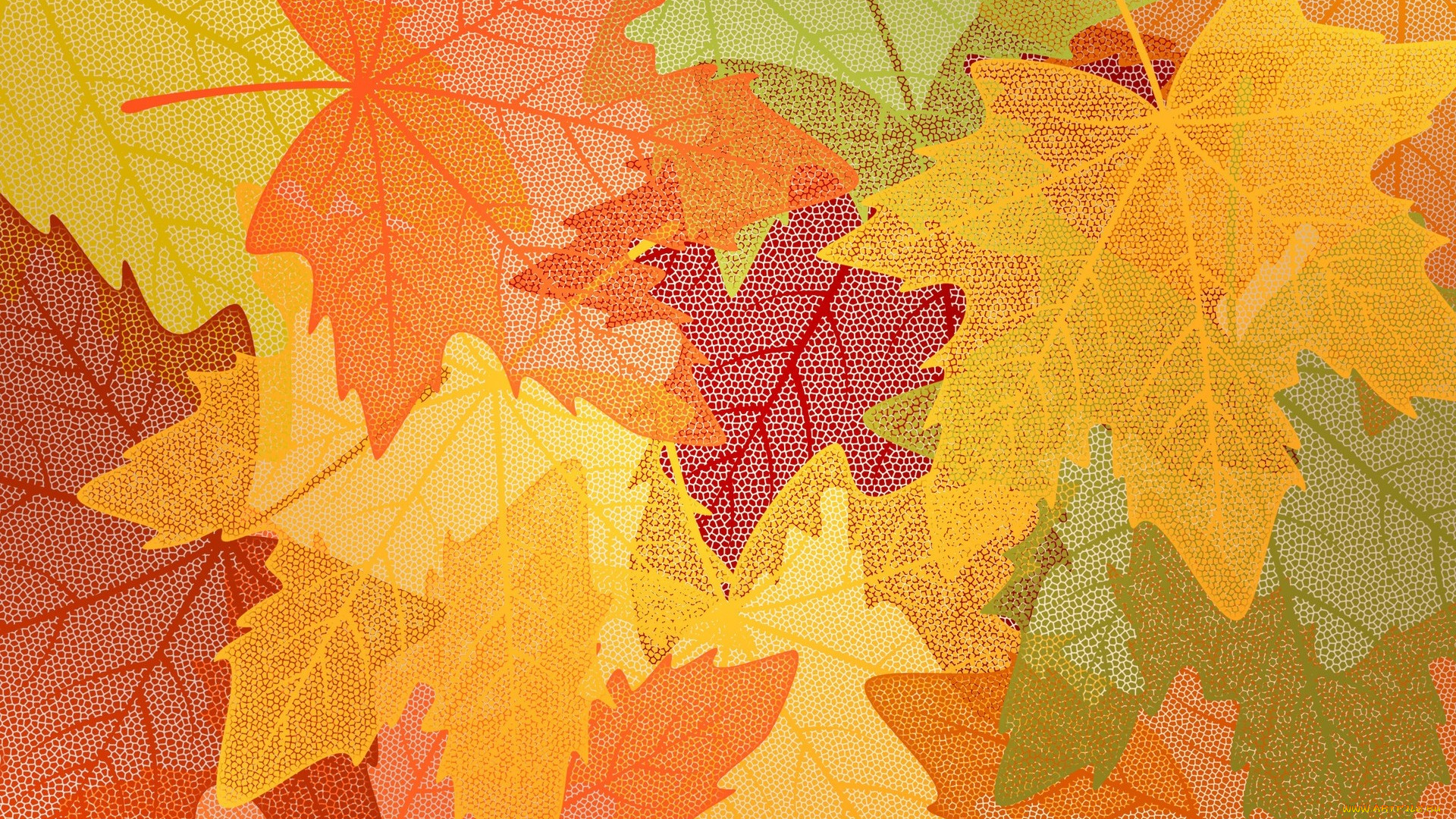 векторная, графика, природа, , nature, листья, осень