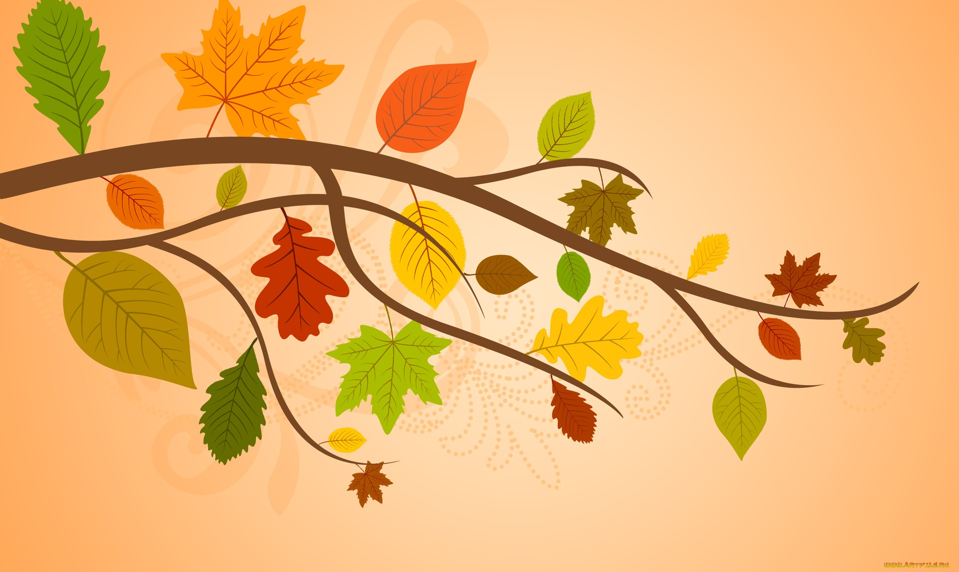 векторная, графика, природа, , nature, ветка, листья, осень