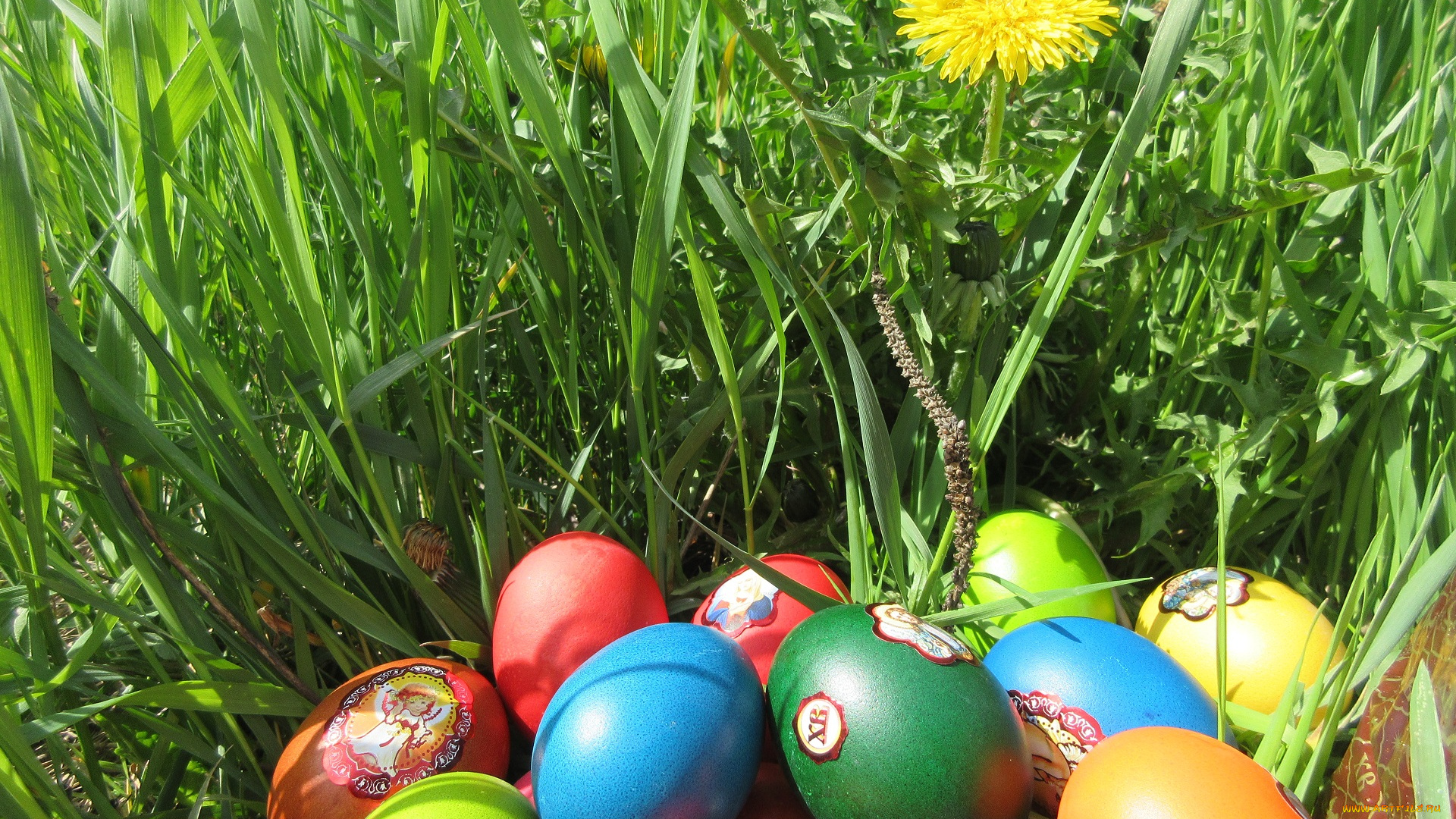 праздничные, пасха, трава, яйца, весна, 2018